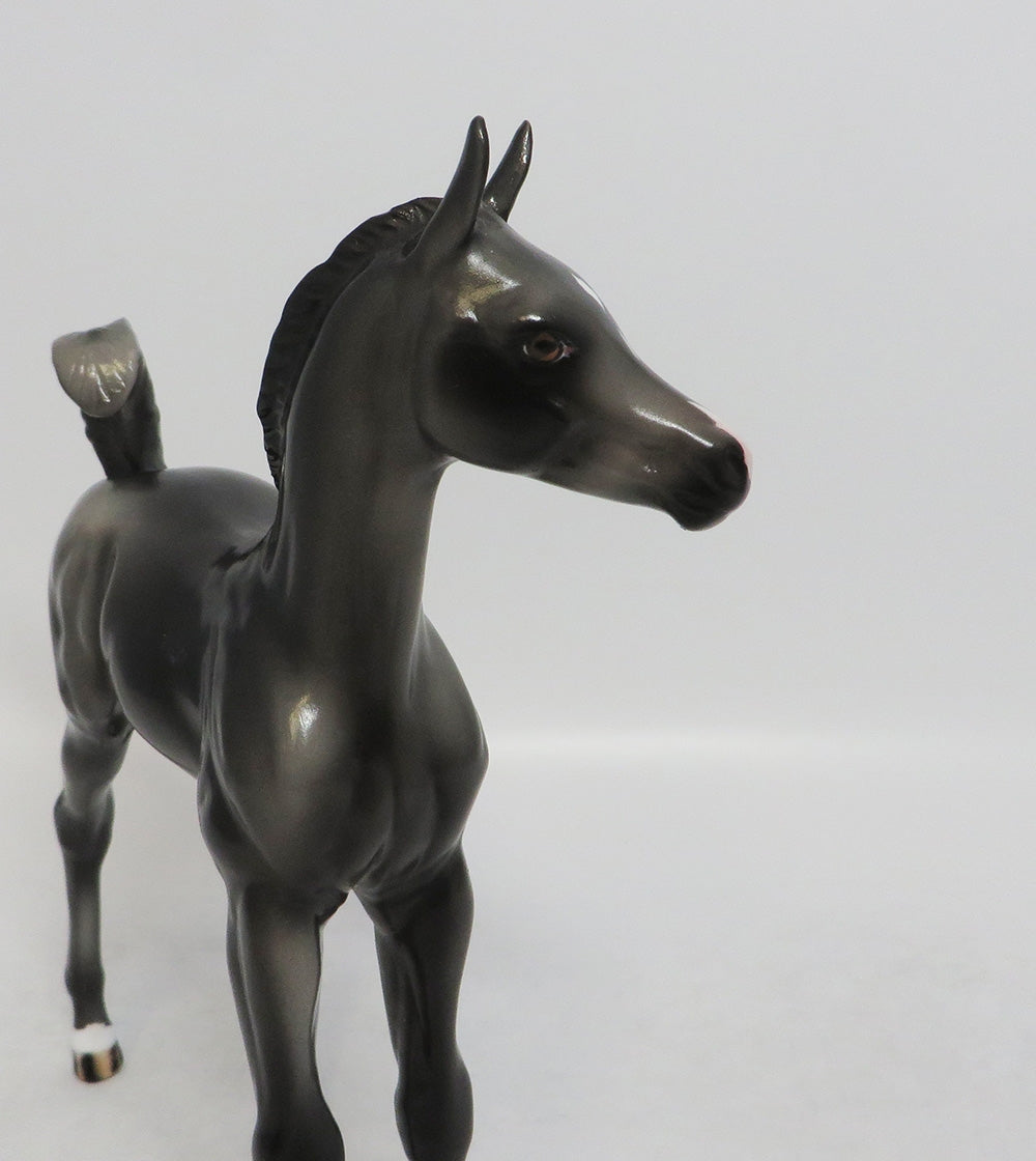 AVAYLA- OOAK BLACK ARABIAN FOAL 8/31/2018