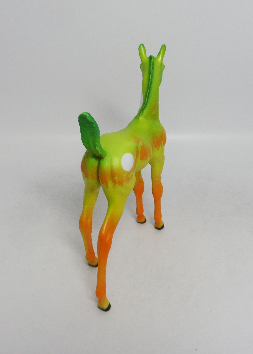 LATICIA-LE-5 HALLOWEEN FOAL WITH ORANGE POINTS 8/31/18