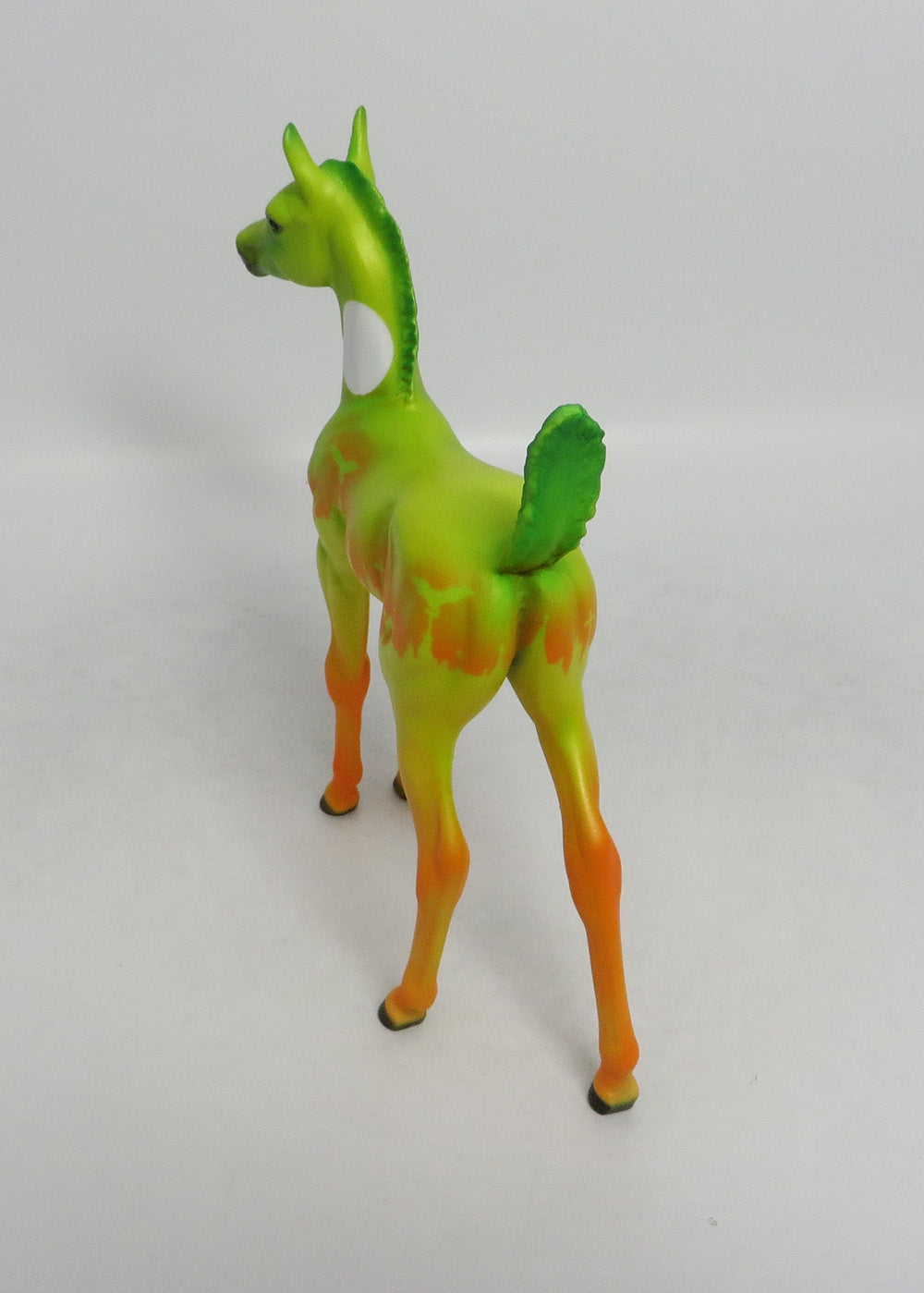 LATICIA-LE-5 HALLOWEEN FOAL WITH ORANGE POINTS 8/31/18