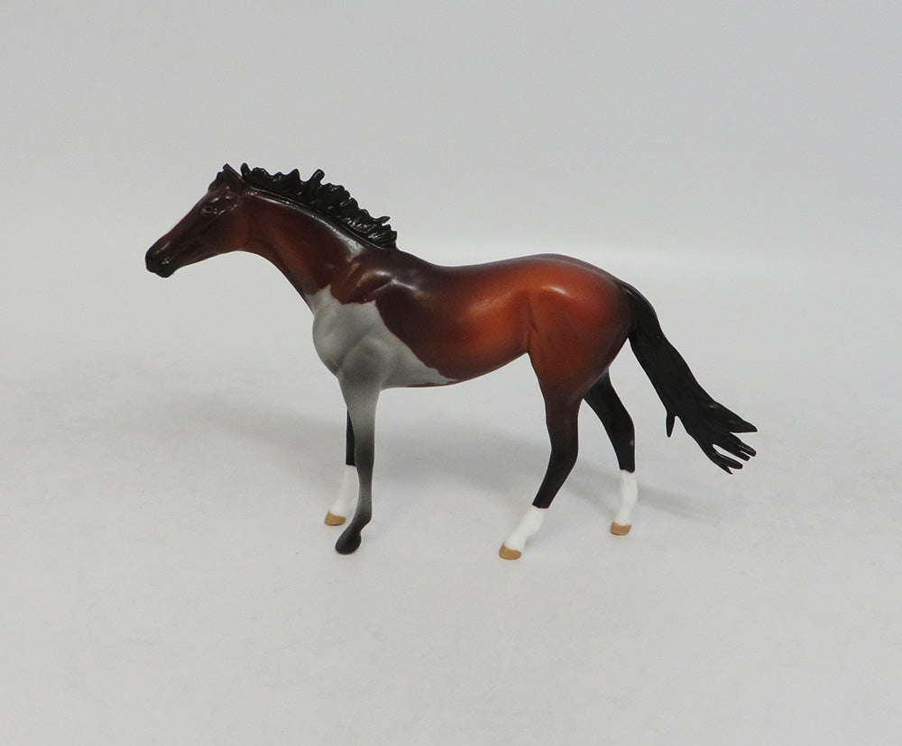 MINDY MOSAIC- LE-10- CUSTOM BAY PAINT THOROUGHBRED CHIP MODEL LHS 2018