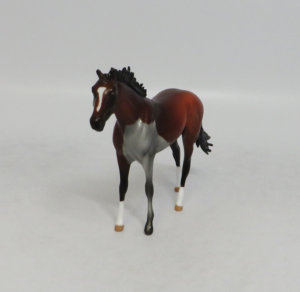 MINDY MOSAIC- LE-10- CUSTOM BAY PAINT THOROUGHBRED CHIP MODEL LHS 2018