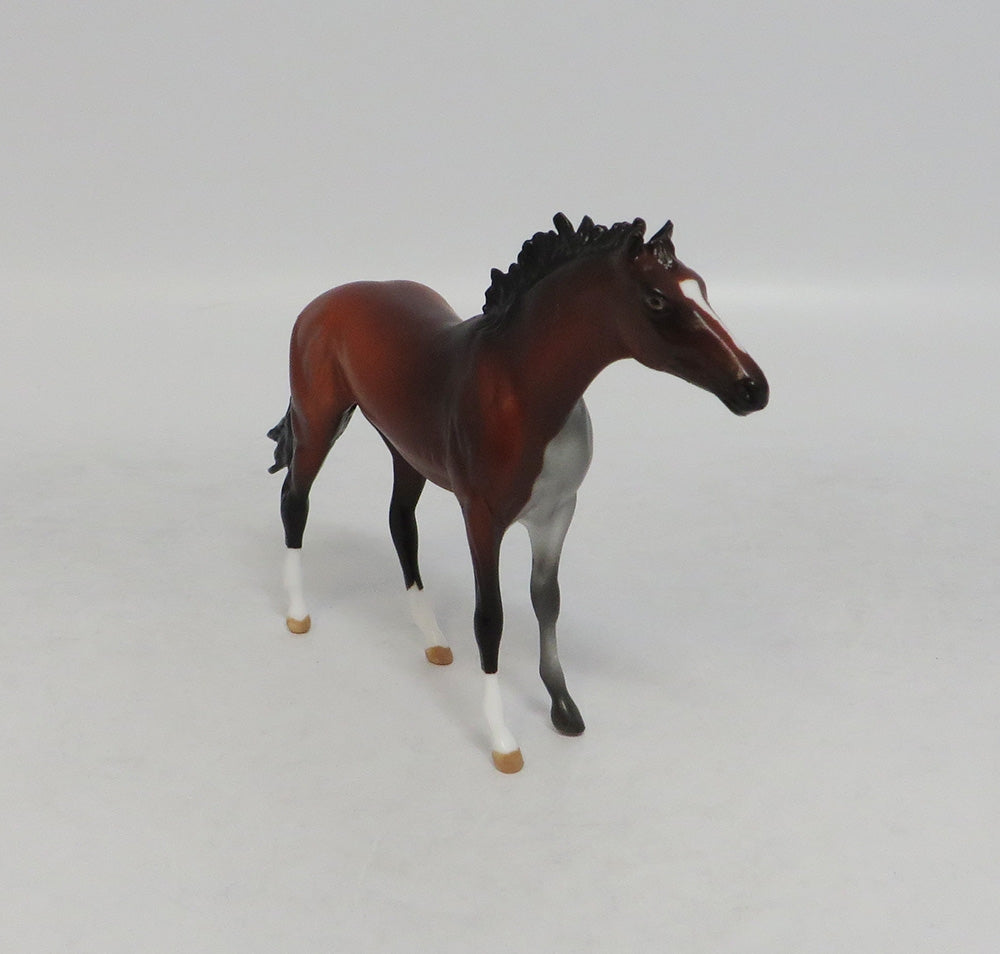 MINDY MOSAIC- LE-10- CUSTOM BAY PAINT THOROUGHBRED CHIP MODEL LHS 2018
