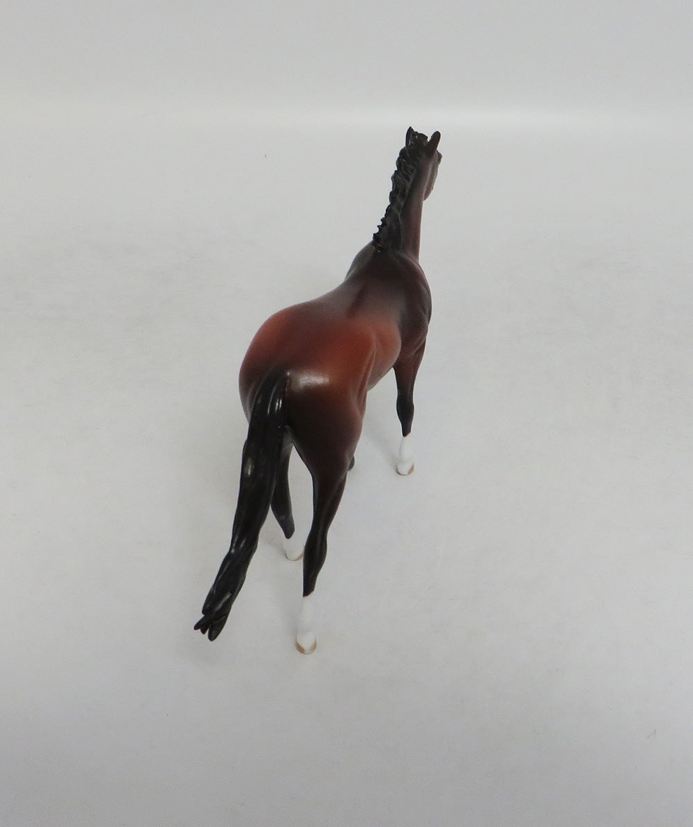 MINDY MOSAIC- LE-10- CUSTOM BAY PAINT THOROUGHBRED CHIP MODEL LHS 2018