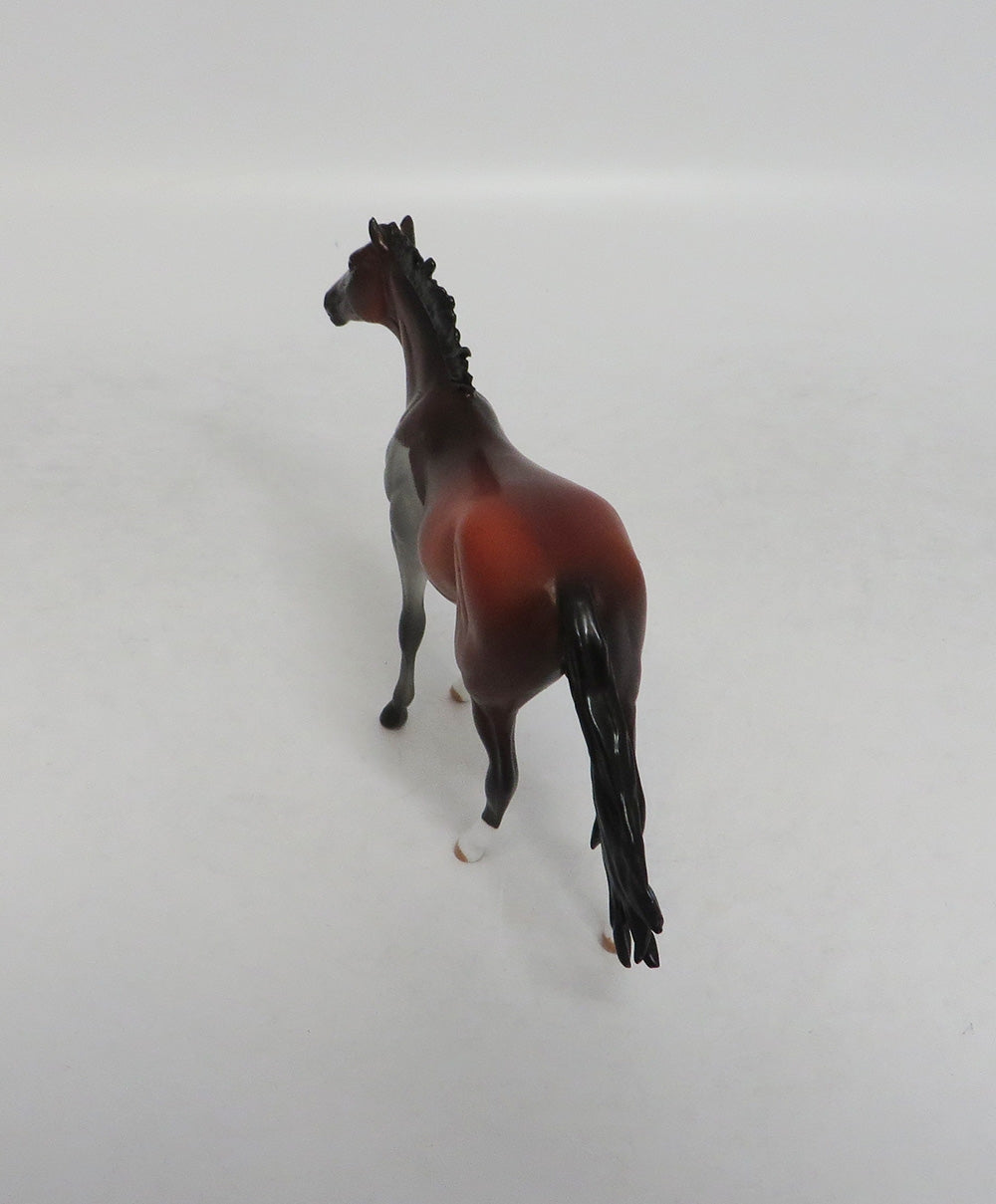 MINDY MOSAIC- LE-10- CUSTOM BAY PAINT THOROUGHBRED CHIP MODEL LHS 2018