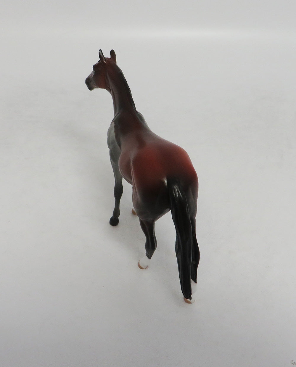 MINDY MOSAIC- LE-10- NON CUSTOM BAY PAINT THOROUGHBRED CHIP MODEL LHS 2018