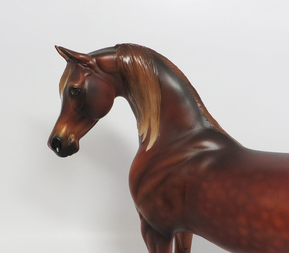 FOO FIGHTER-OOAK DAPPLE CHESTNUT ARABIAN MODEL HORSE BY AUDREY DIXON 9/7/18