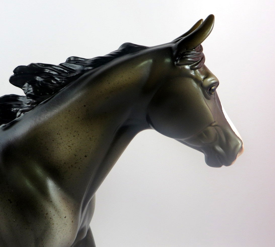 FROM THE TOP - OOAK BLUE ROAN PALOUSE MODEL HORSE BY MISSY FOX LHS 19