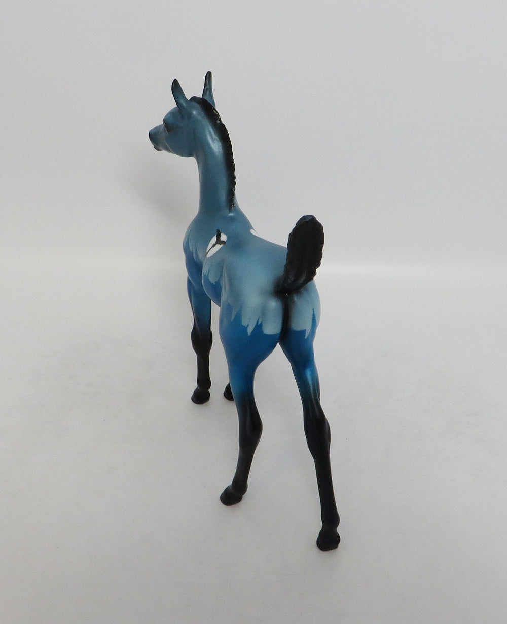 HARLEM&#39;S NIGHT- LE-5- DECORATOR ARABIAN FOAL BY DAWN QUICK 9-7-2018