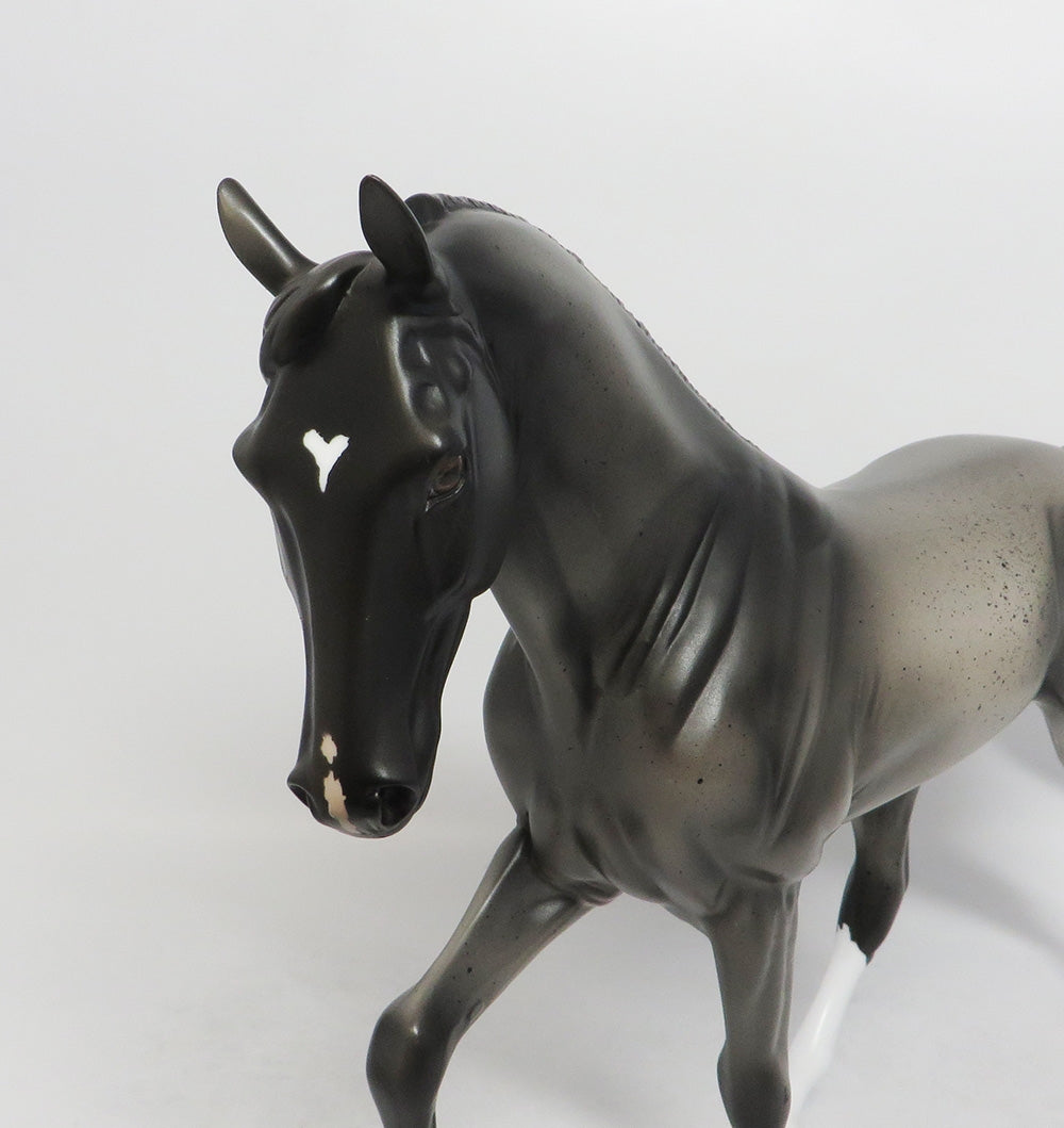 ROAD RUNNER-OOAK ROAN TENNESSEE WALKER HORSE 9/7/2018