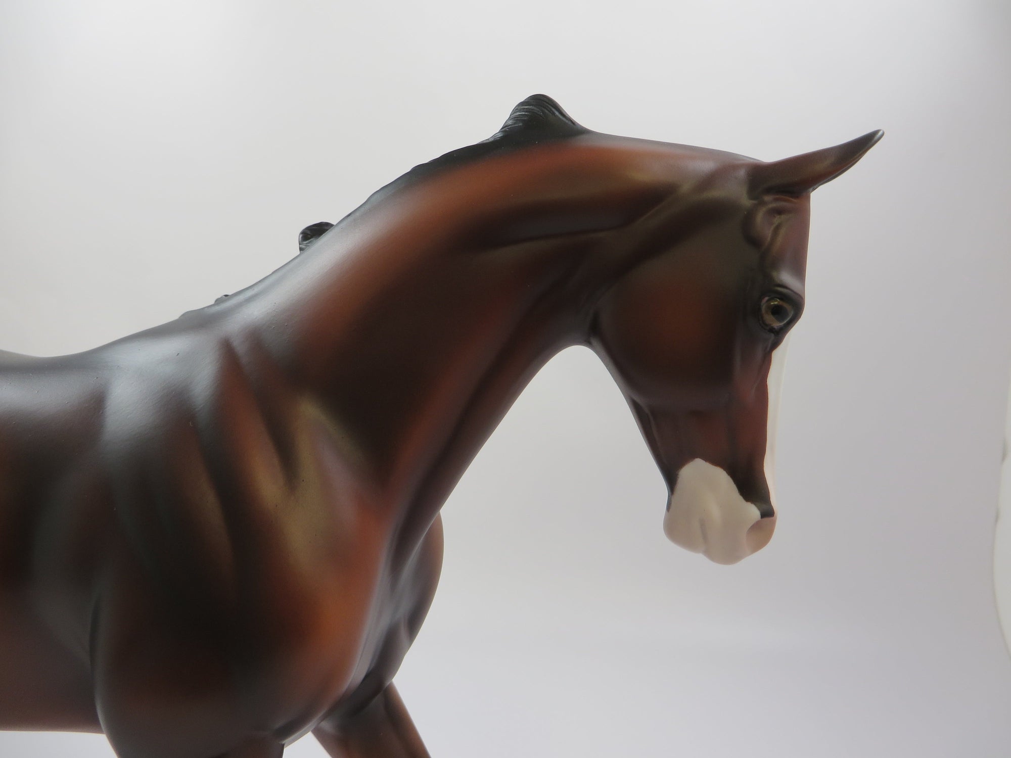 MACBETH-OOAK BAY THOROUGHBRED MODEL HORSE EQ  2019