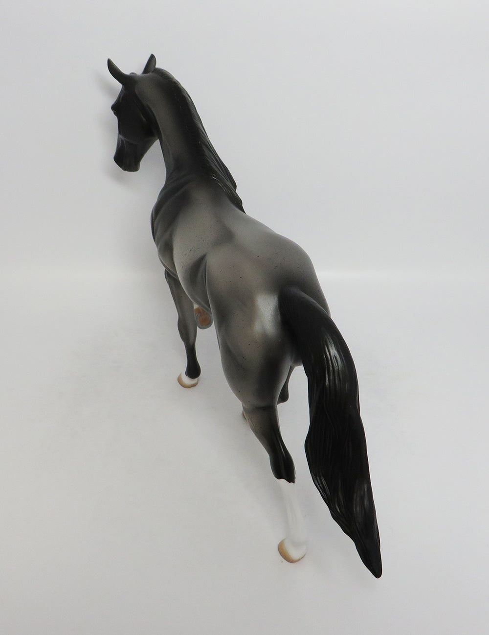 ROAD RUNNER-OOAK ROAN TENNESSEE WALKER HORSE 9/7/2018
