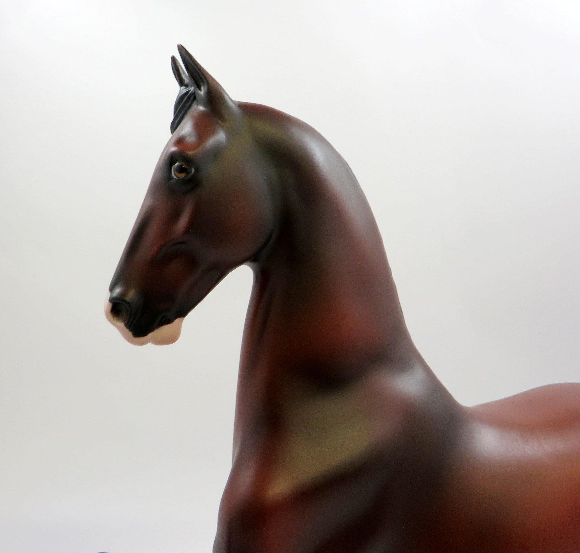 ROYAL BABE-OOAK BAY SADDLEBRED MODEL HORSE EQ 2019