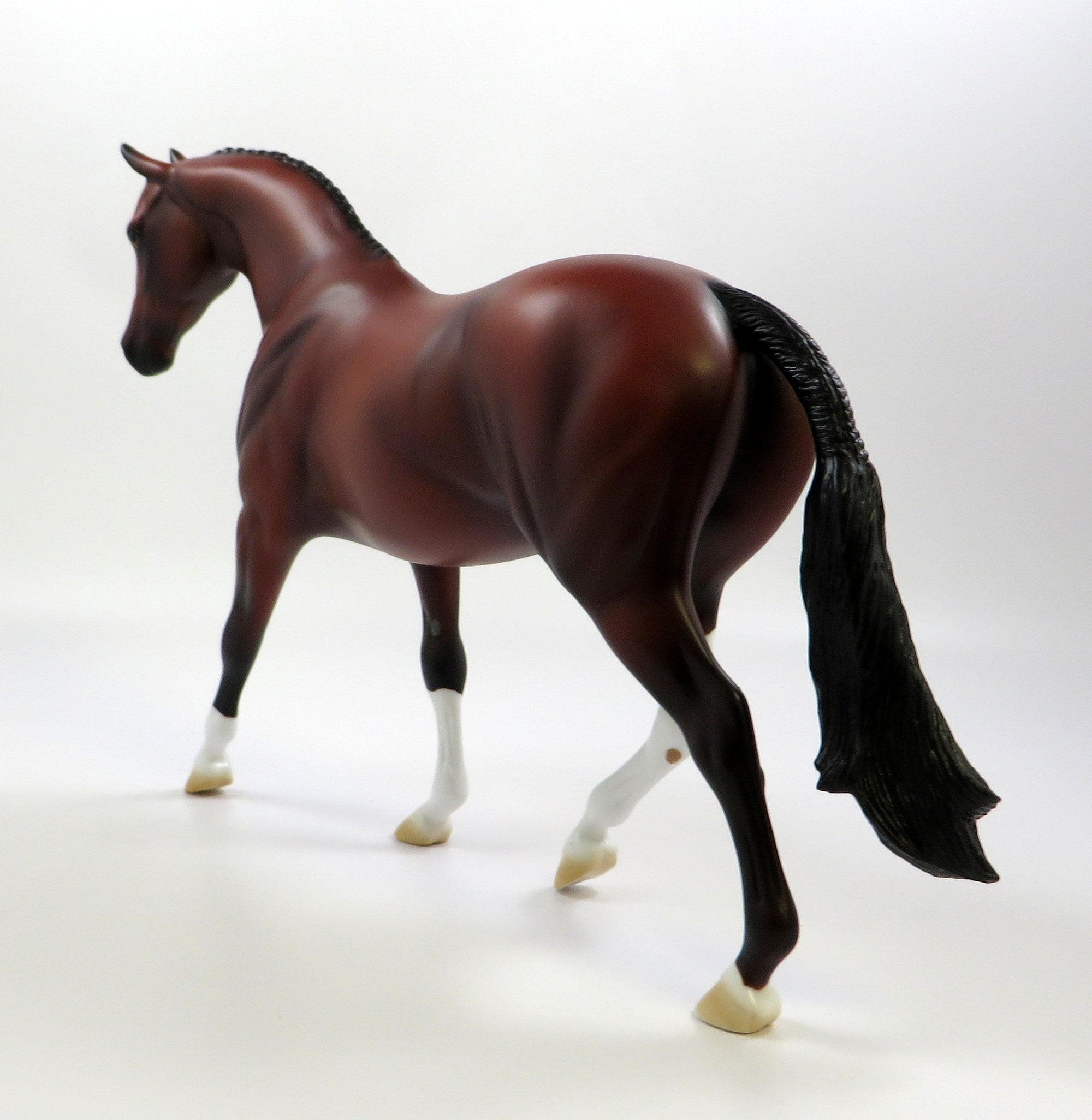 LORIE-OOAK BAY PONY EQ 2019