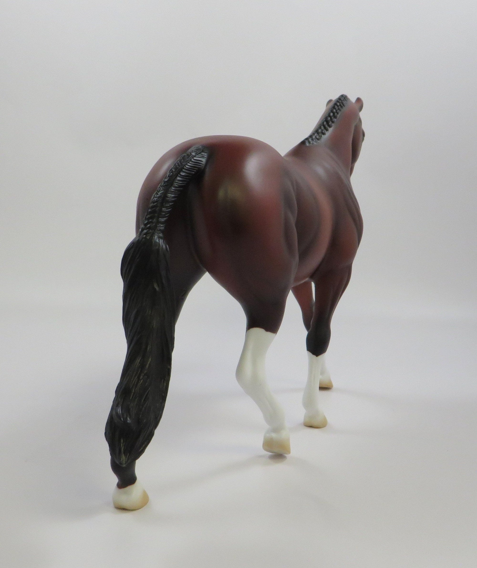 LORIE-OOAK BAY PONY EQ 2019