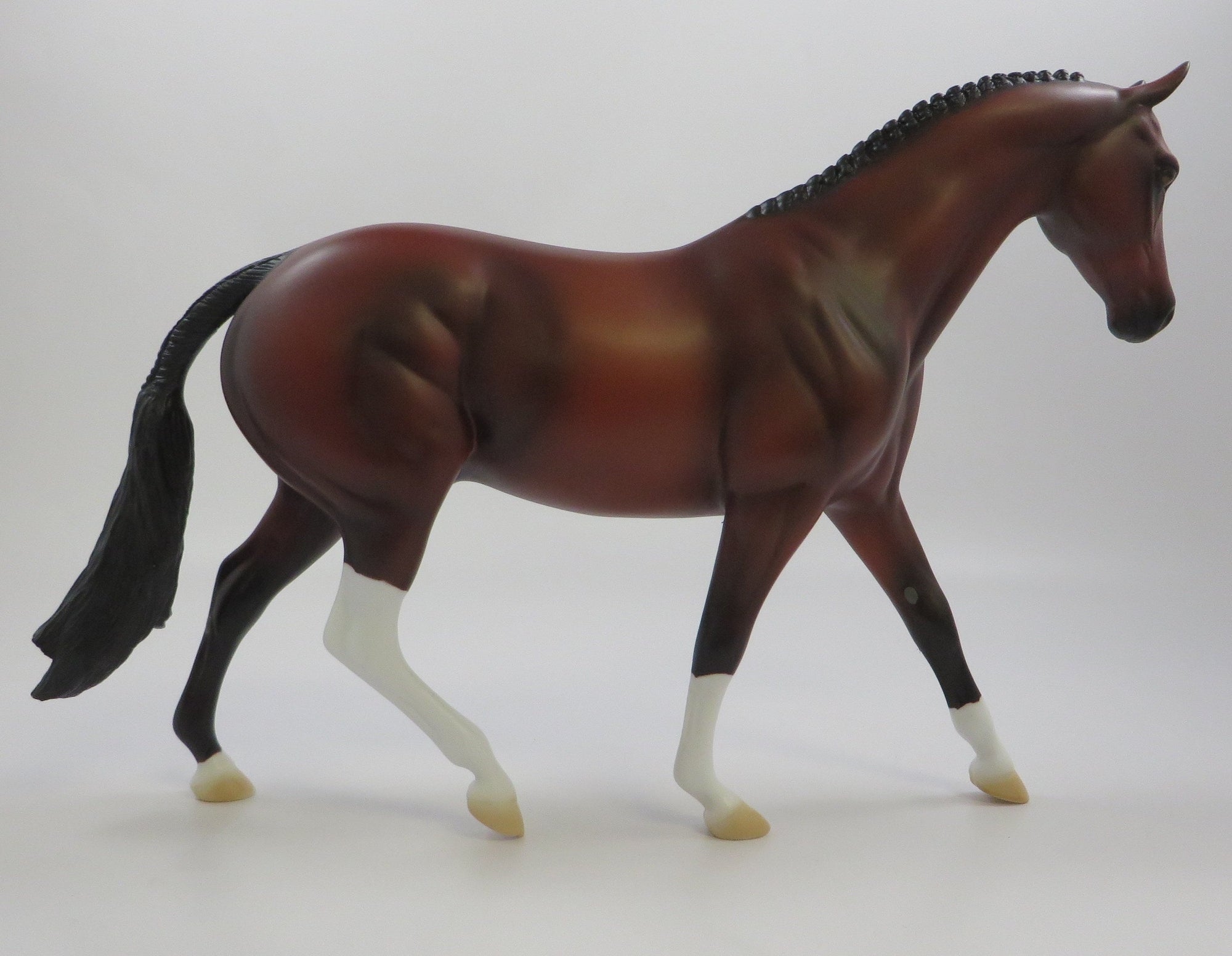 LORIE-OOAK BAY PONY EQ 2019