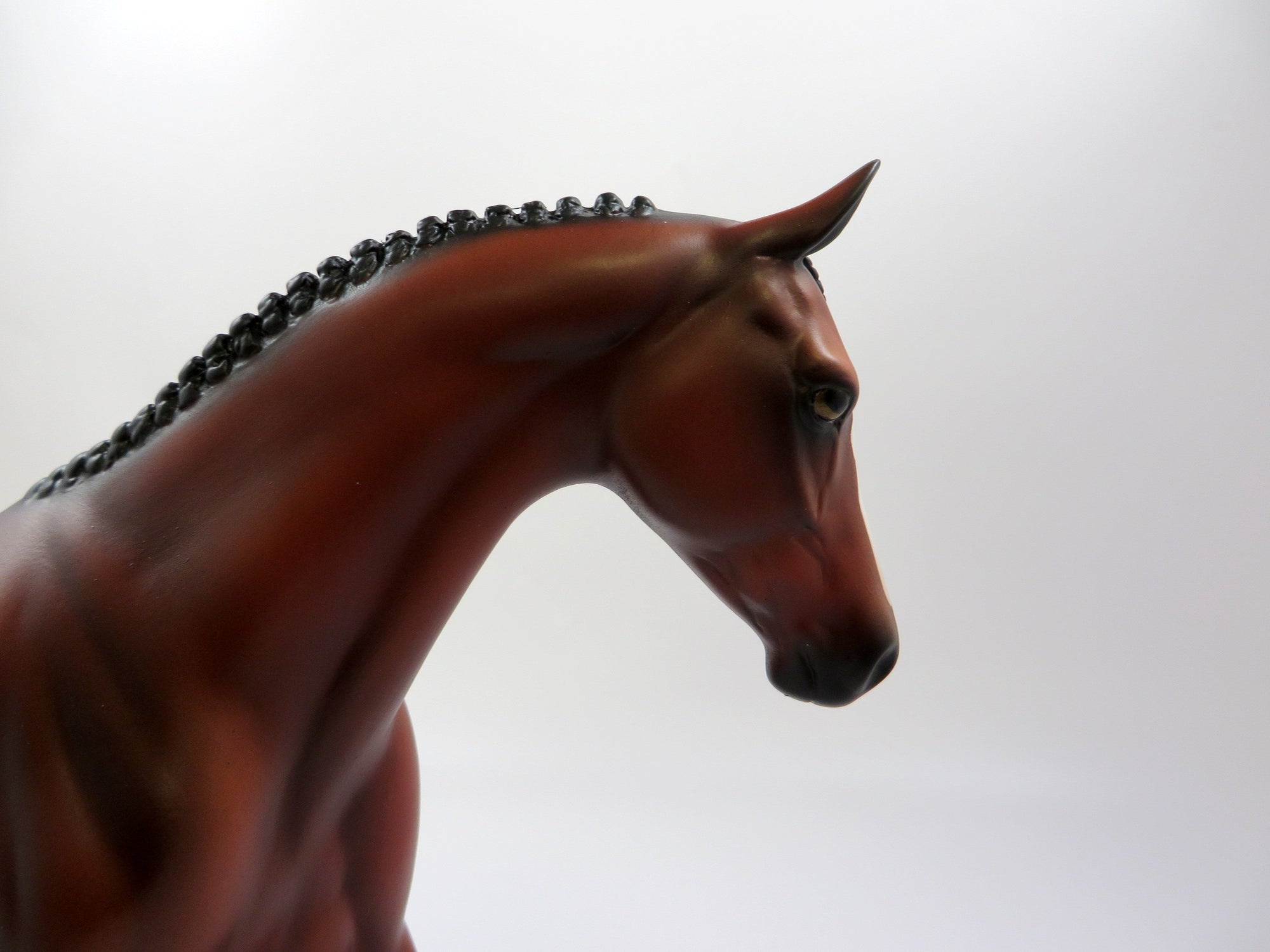 LORIE-OOAK BAY PONY EQ 2019