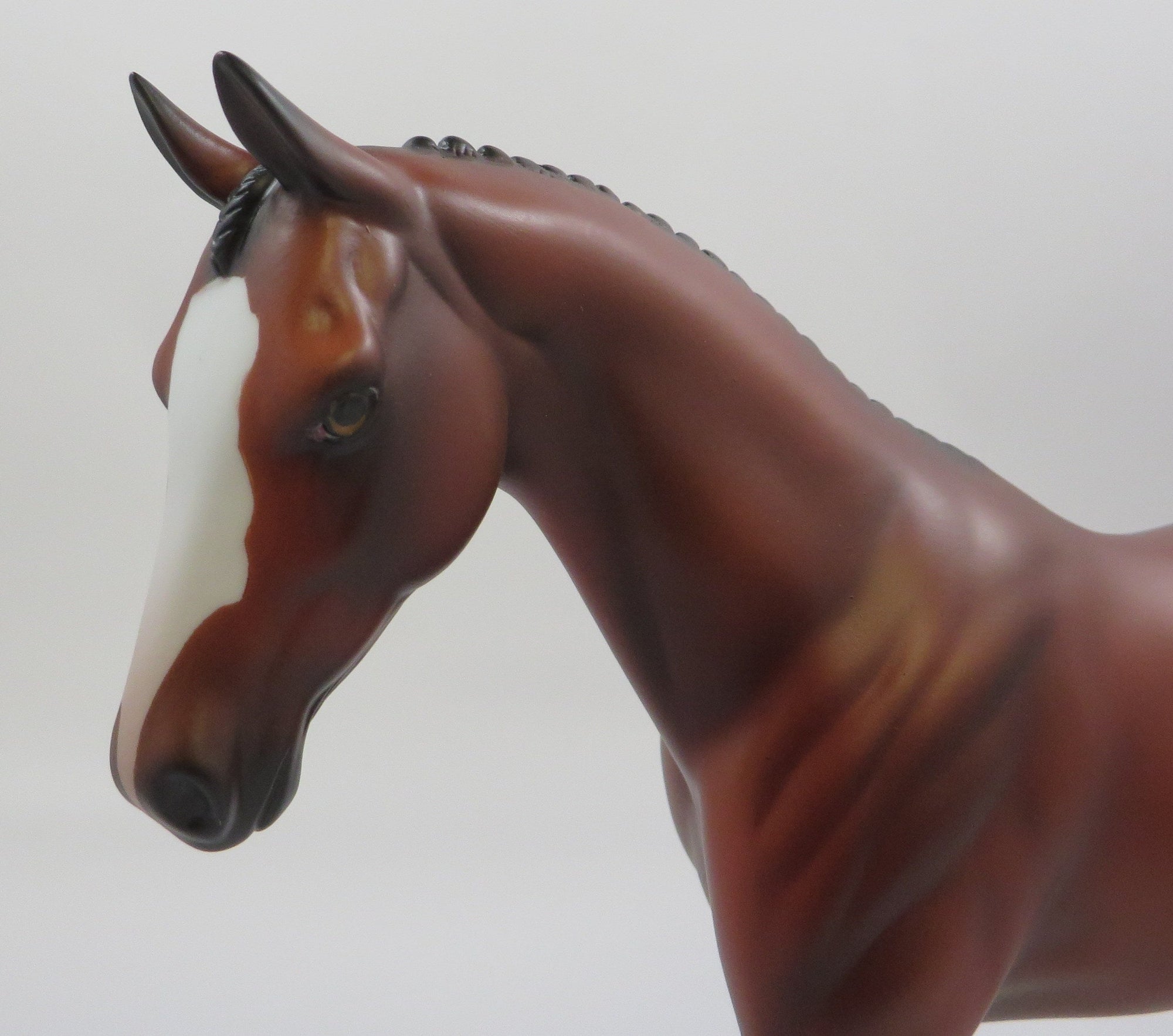 LORIE-OOAK BAY PONY EQ 2019