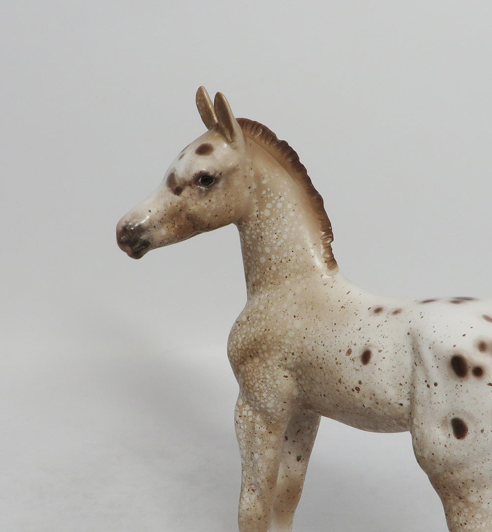 WATCH ME-OOAK CHESTNUT APPALOOSA FOAL BY SHERYL LEISURE 9/7/18