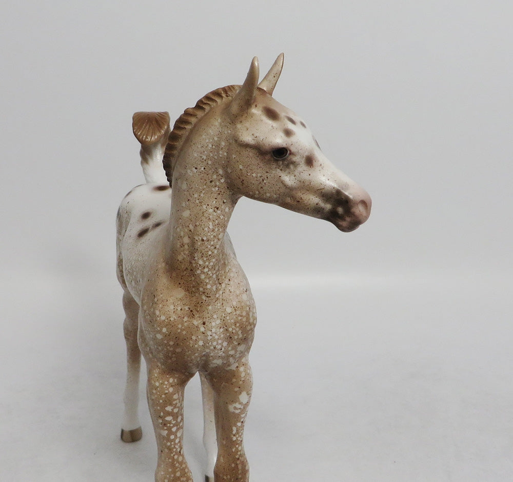 WATCH ME-OOAK CHESTNUT APPALOOSA FOAL BY SHERYL LEISURE 9/7/18