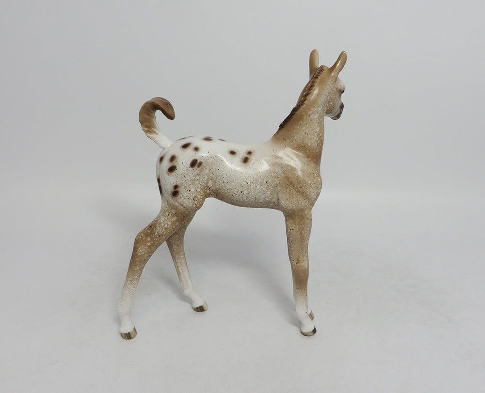 WATCH ME-OOAK CHESTNUT APPALOOSA FOAL BY SHERYL LEISURE 9/7/18