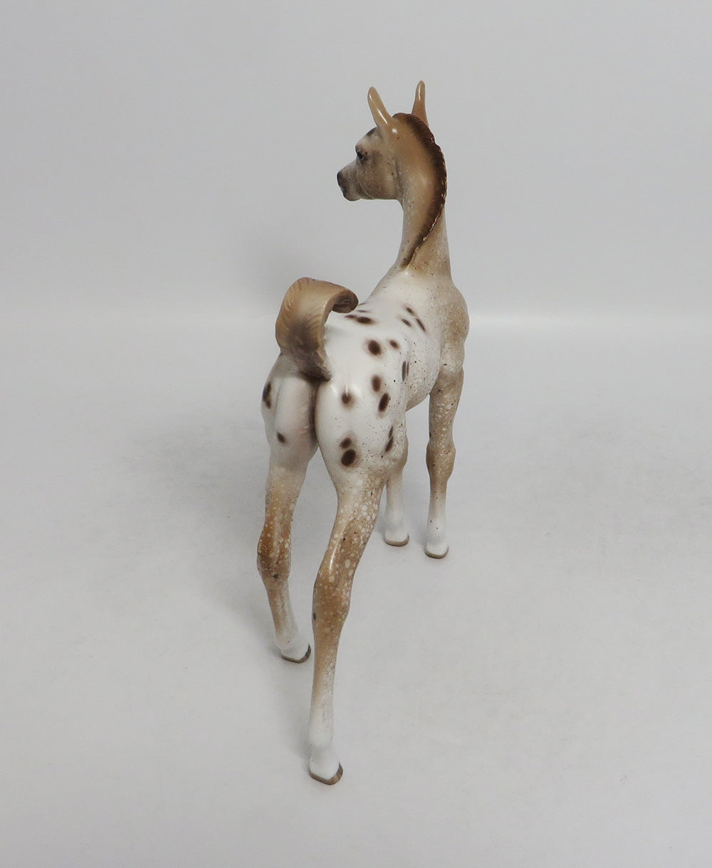 WATCH ME-OOAK CHESTNUT APPALOOSA FOAL BY SHERYL LEISURE 9/7/18