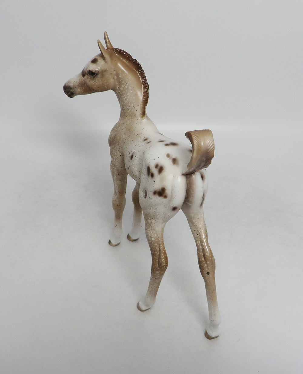 WATCH ME-OOAK CHESTNUT APPALOOSA FOAL BY SHERYL LEISURE 9/7/18