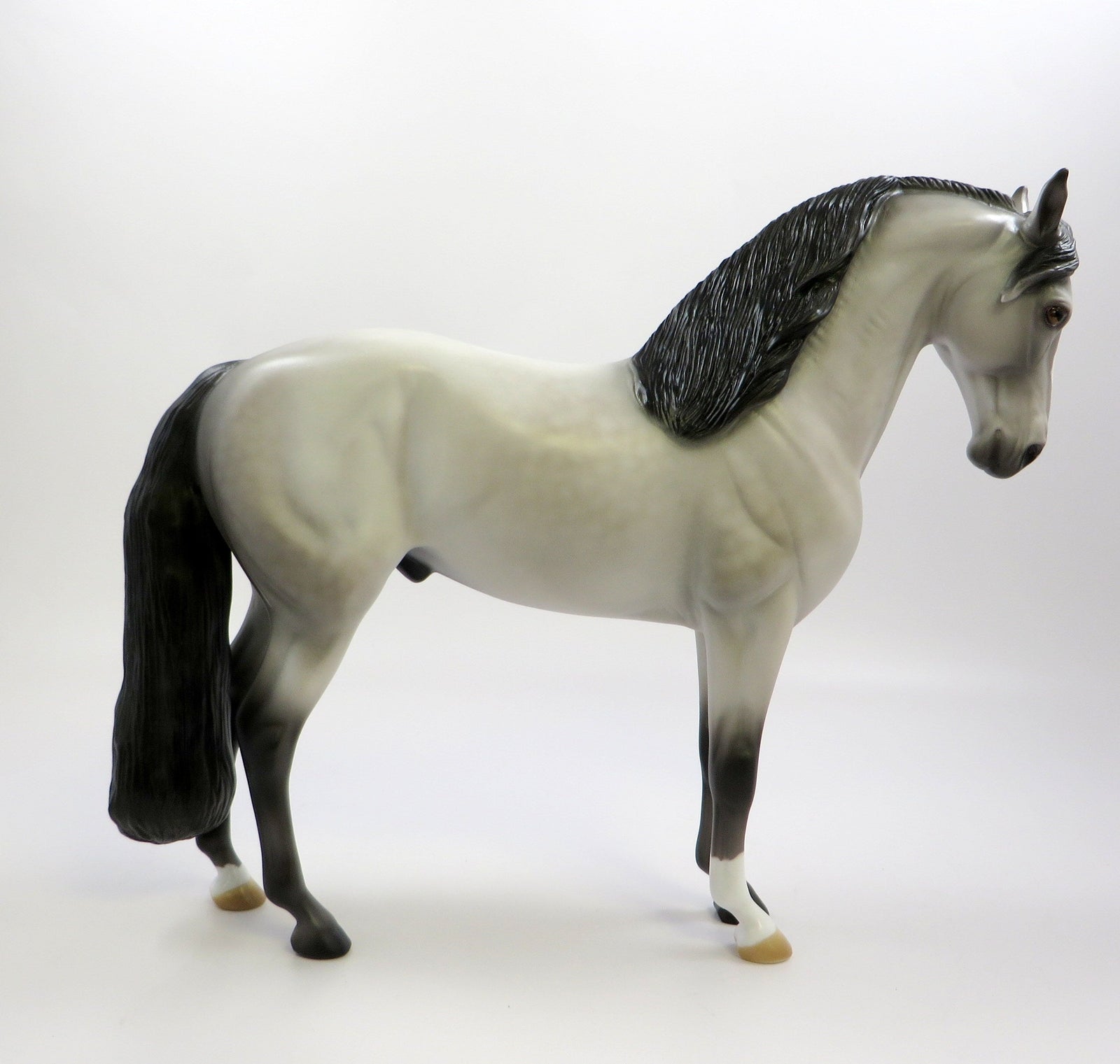 SOVEREIGN-OOAK DAPPLE GREY ANDALUSIAN EQ 2019