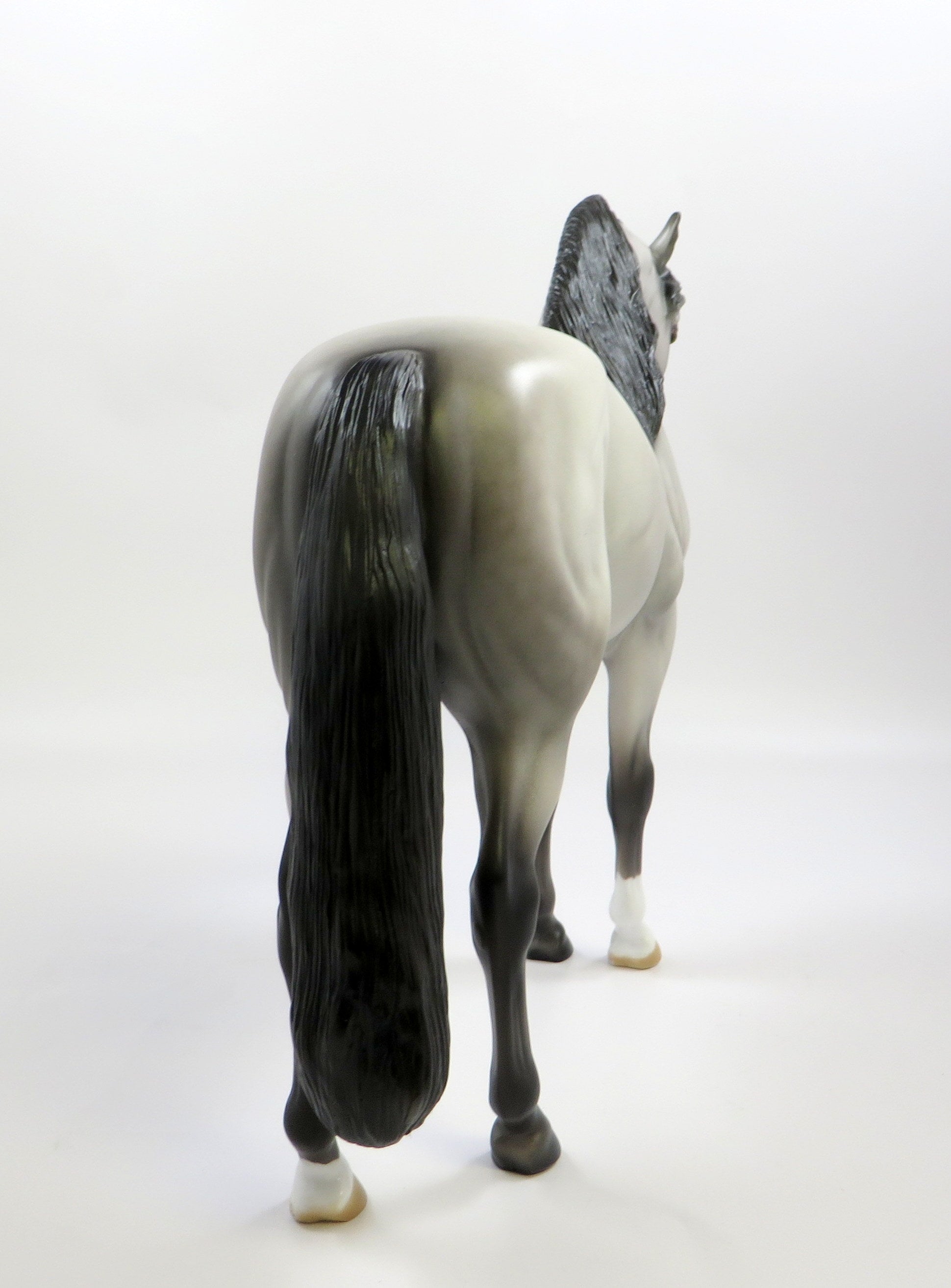 SOVEREIGN-OOAK DAPPLE GREY ANDALUSIAN EQ 2019