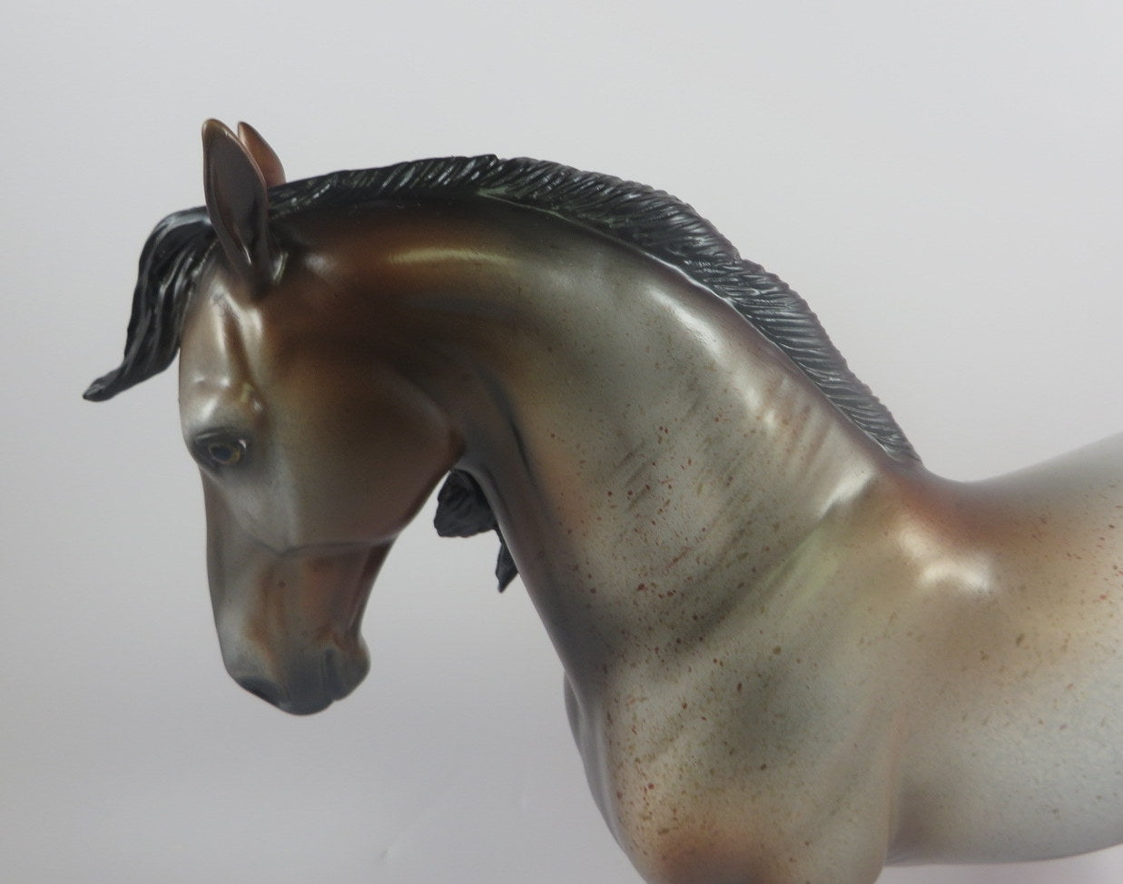 AERIAL SILK -- OOAK BAY ROAN ANDALUSIAN MODEL HORSE BY MISSY FOX  LHS 2019