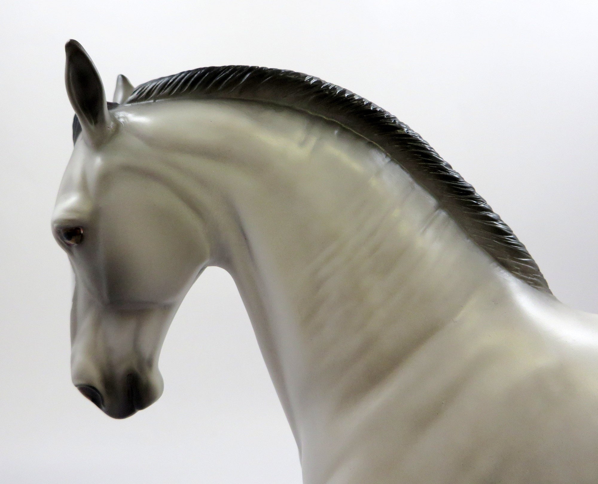 SOVEREIGN-OOAK DAPPLE GREY ANDALUSIAN EQ 2019