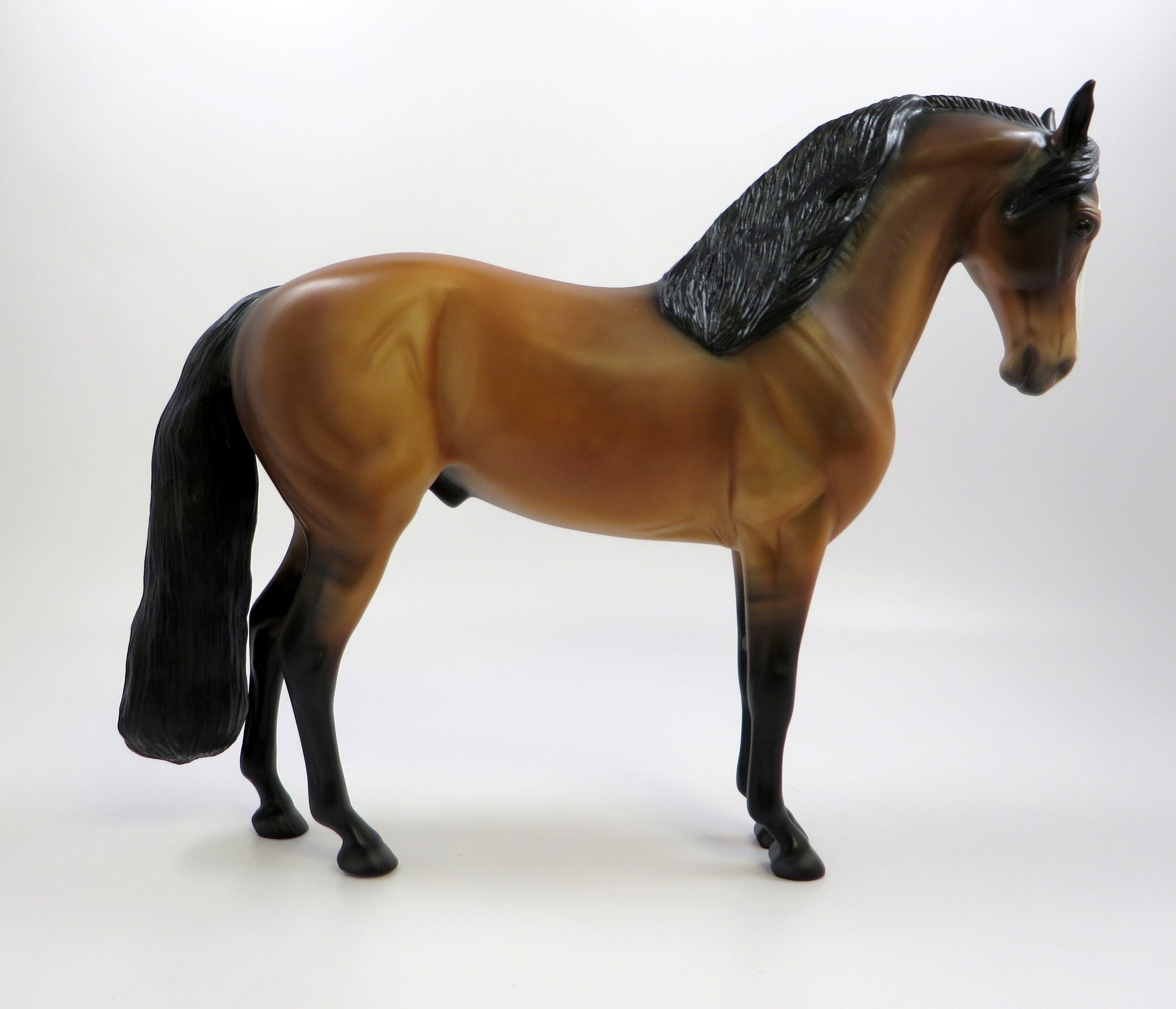 ARCHDUKE - LE-5  DAPPLE BUCKSKIN ANDALUSIAN  CUSTOM MANE AND TAIL EQ2019