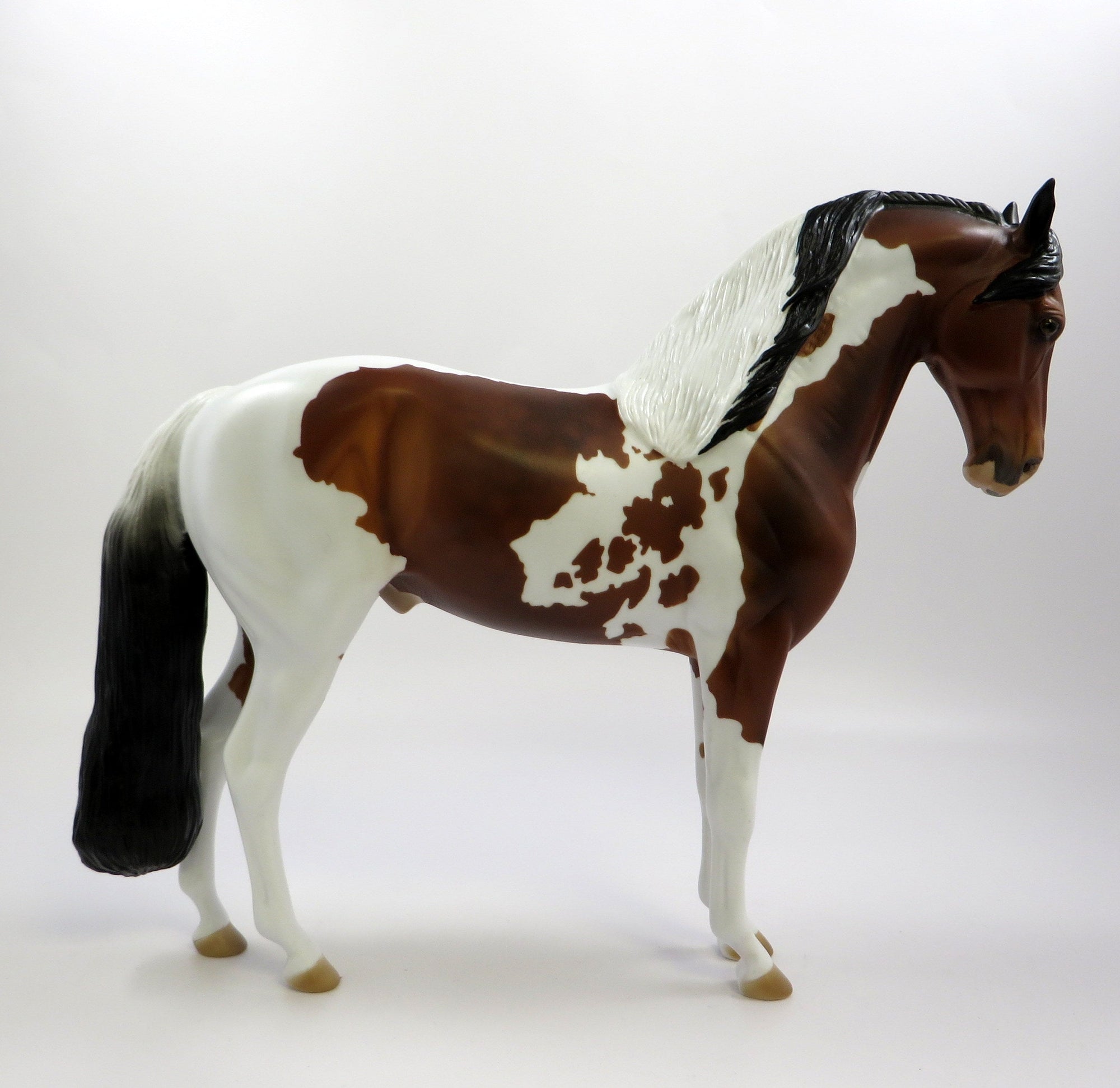 INFANTA-OOAK DAPPLE BAY OVERO ANDALUSIAN EQ 2019