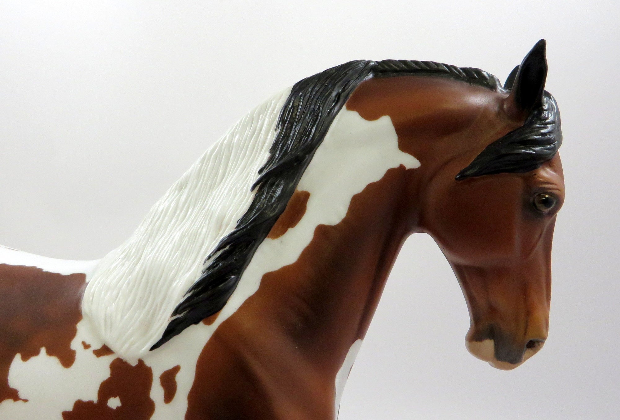 INFANTA-OOAK DAPPLE BAY OVERO ANDALUSIAN EQ 2019