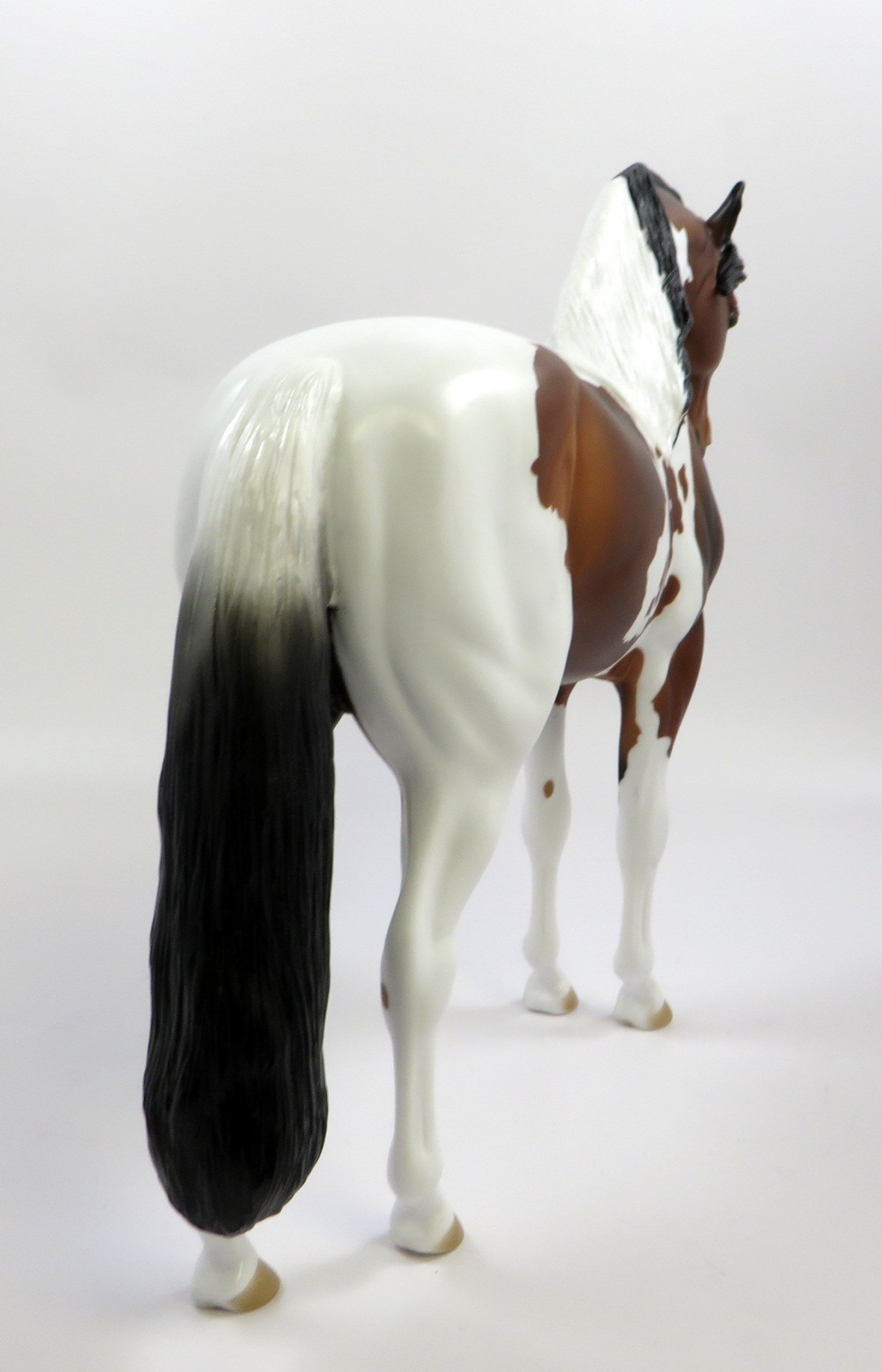 INFANTA-OOAK DAPPLE BAY OVERO ANDALUSIAN EQ 2019