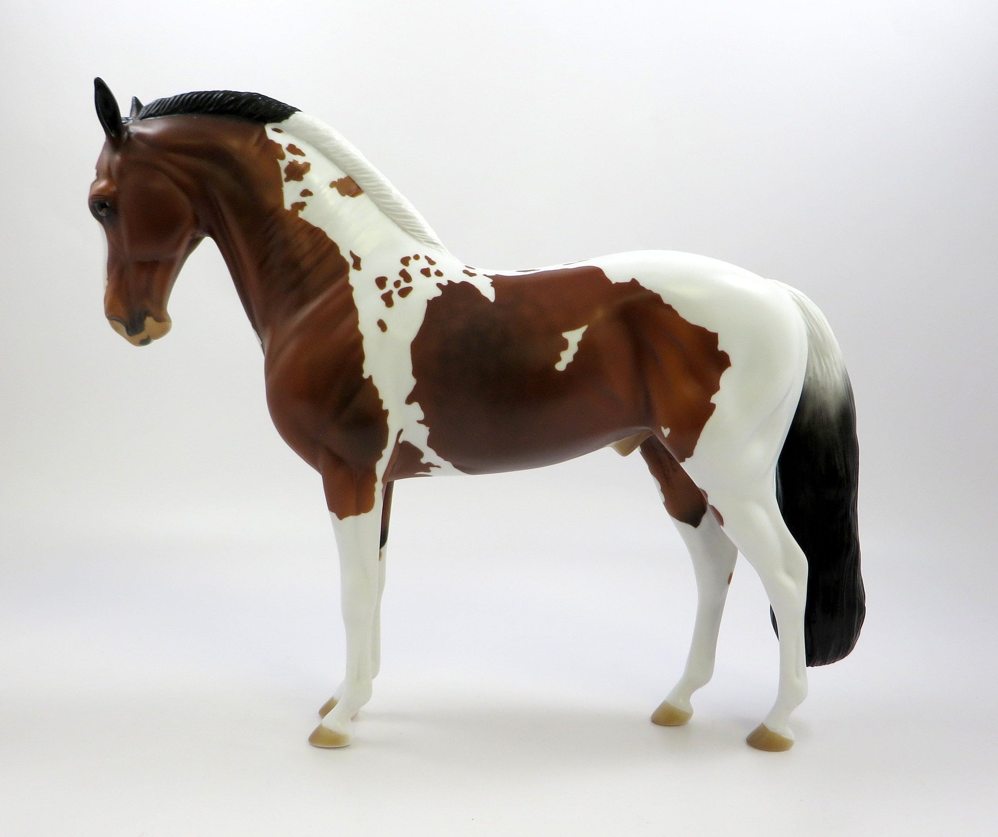 INFANTA-OOAK DAPPLE BAY OVERO ANDALUSIAN EQ 2019