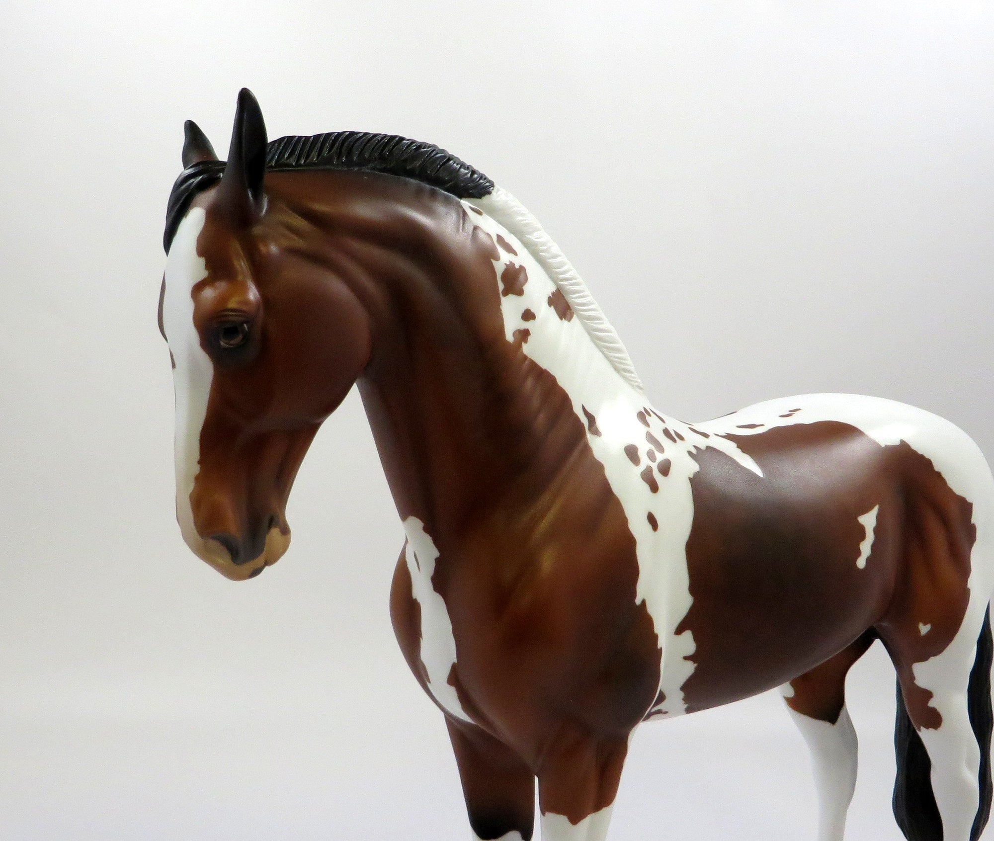 INFANTA-OOAK DAPPLE BAY OVERO ANDALUSIAN EQ 2019