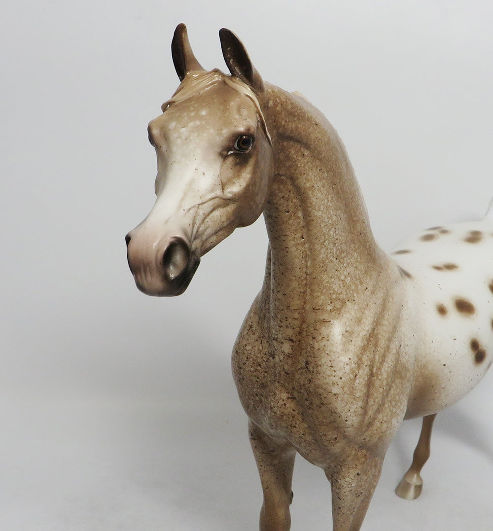 DING DANG DO-OOAK CHESTNUT APPALOOSA ARABIAN MODEL HORSE BY SHERYL LEISURE 9/7/18