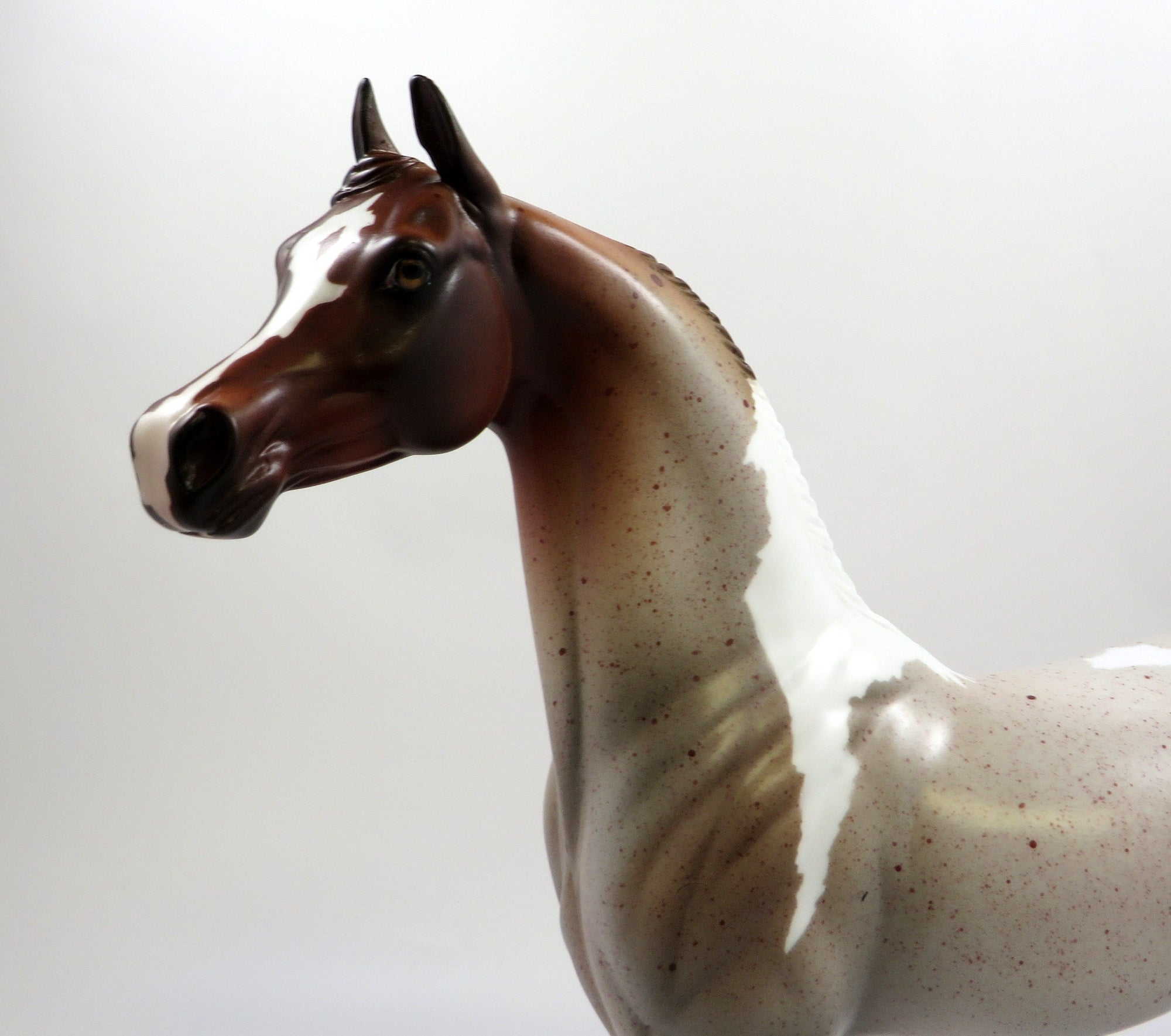 MITHDATES-OOAK CHESTNUT PINTALOOSA  ARABIAN MODEL HORSE EQ 2019