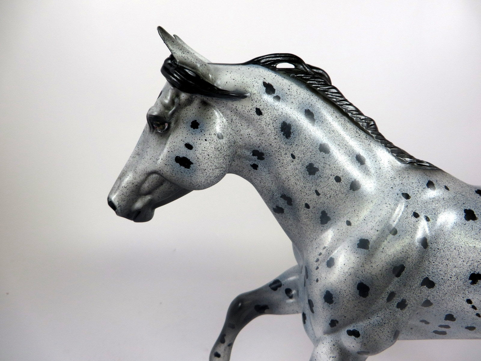 HYPNO -OOAK BLACK APPALOOSA FQH MODEL HORSE BY AL KATT LHS 19