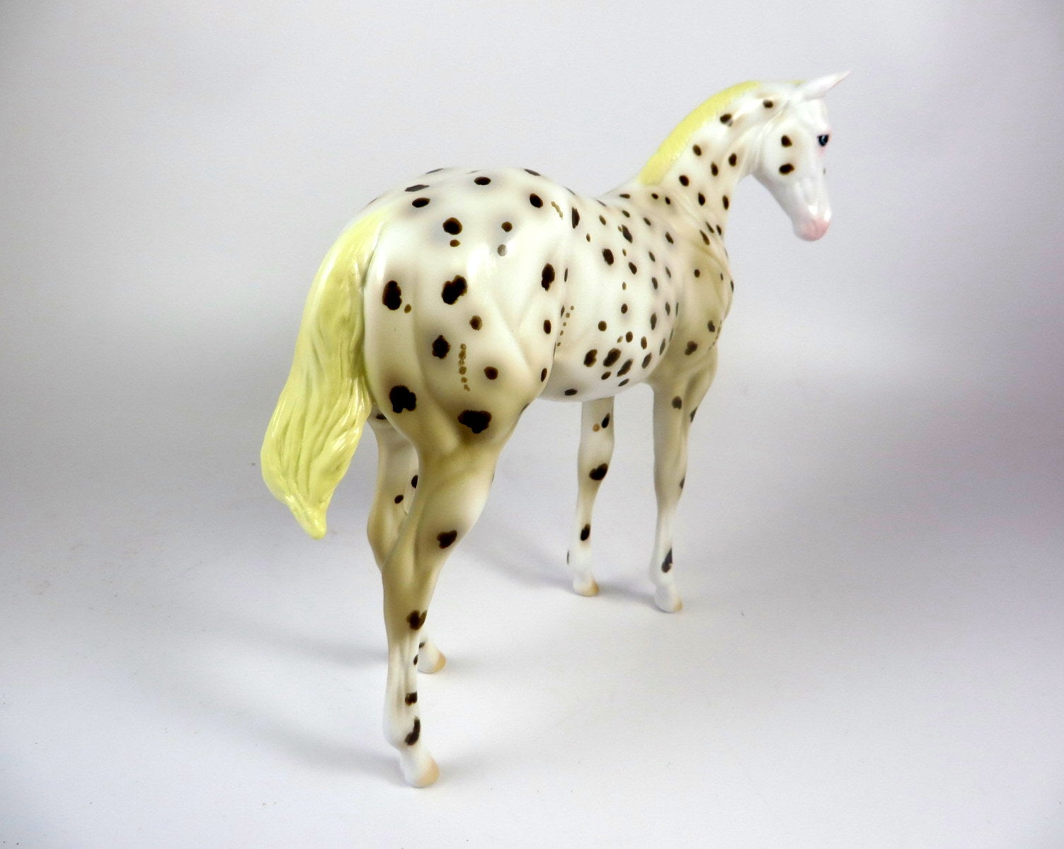 RISLEY -- OOAK BROWN LEOPARD APPALOOSA WEANLING BY AL KATT LHS 19