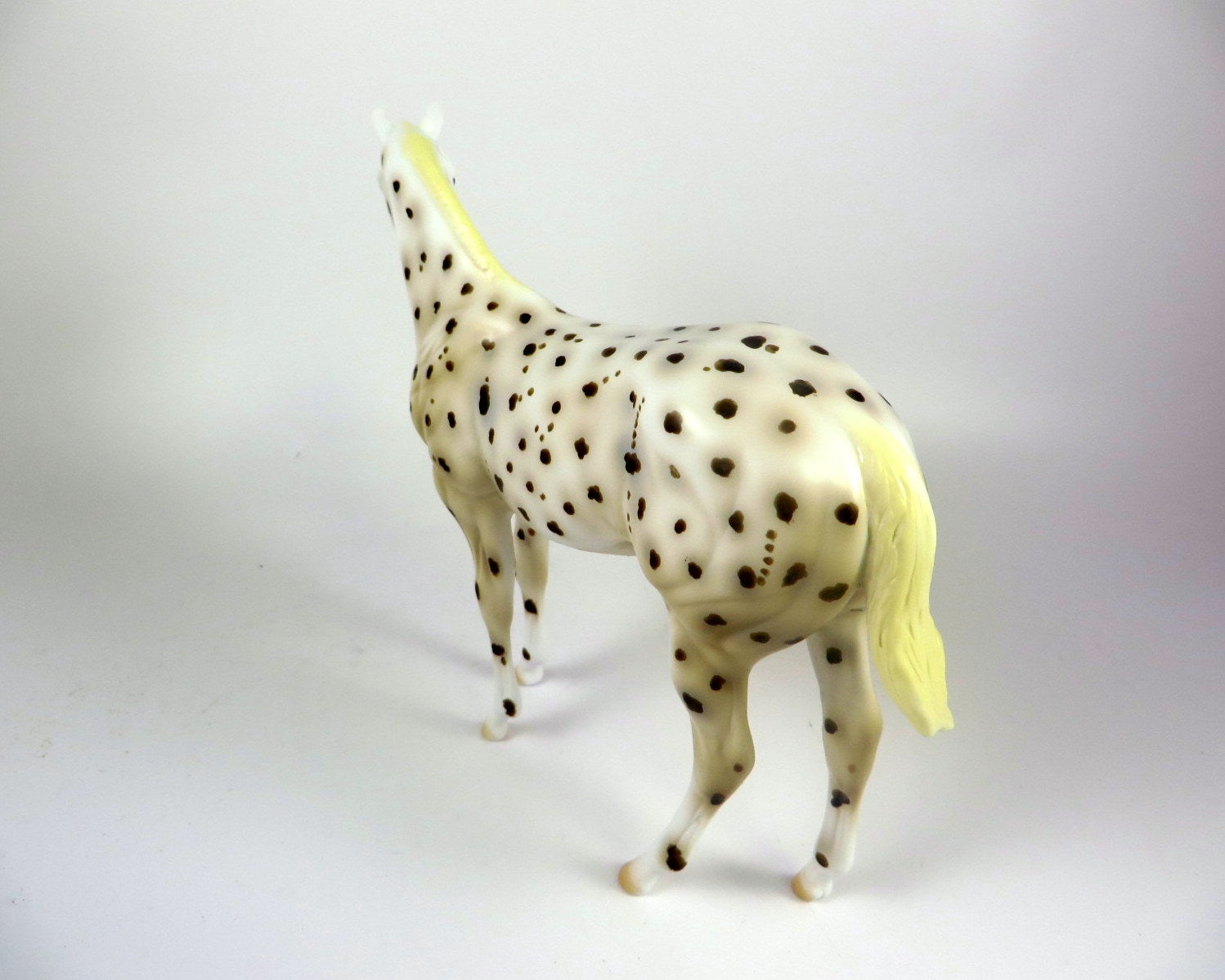 RISLEY -- OOAK BROWN LEOPARD APPALOOSA WEANLING BY AL KATT LHS 19