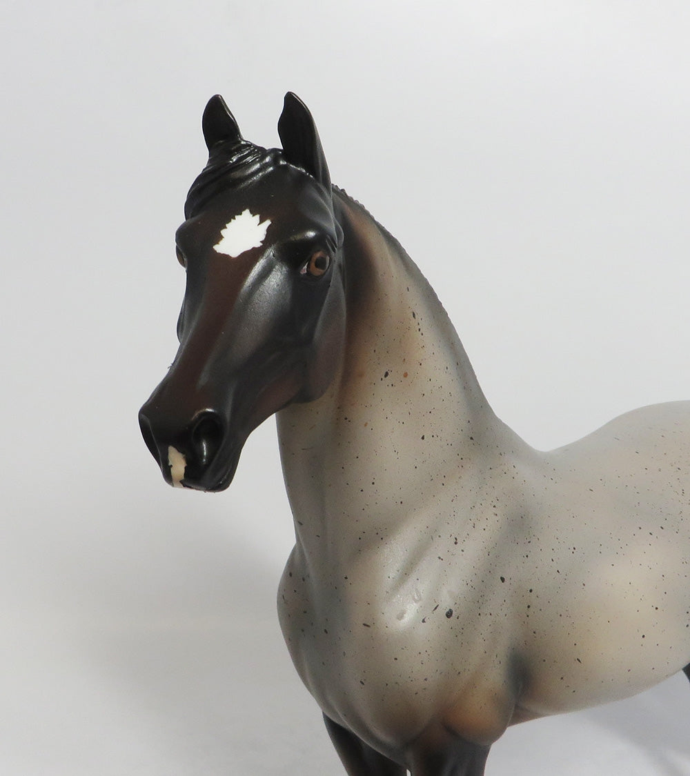 THUNDERSTORM-OOAK BAY ROAN MORGAN MODEL HORSE 9/7/18