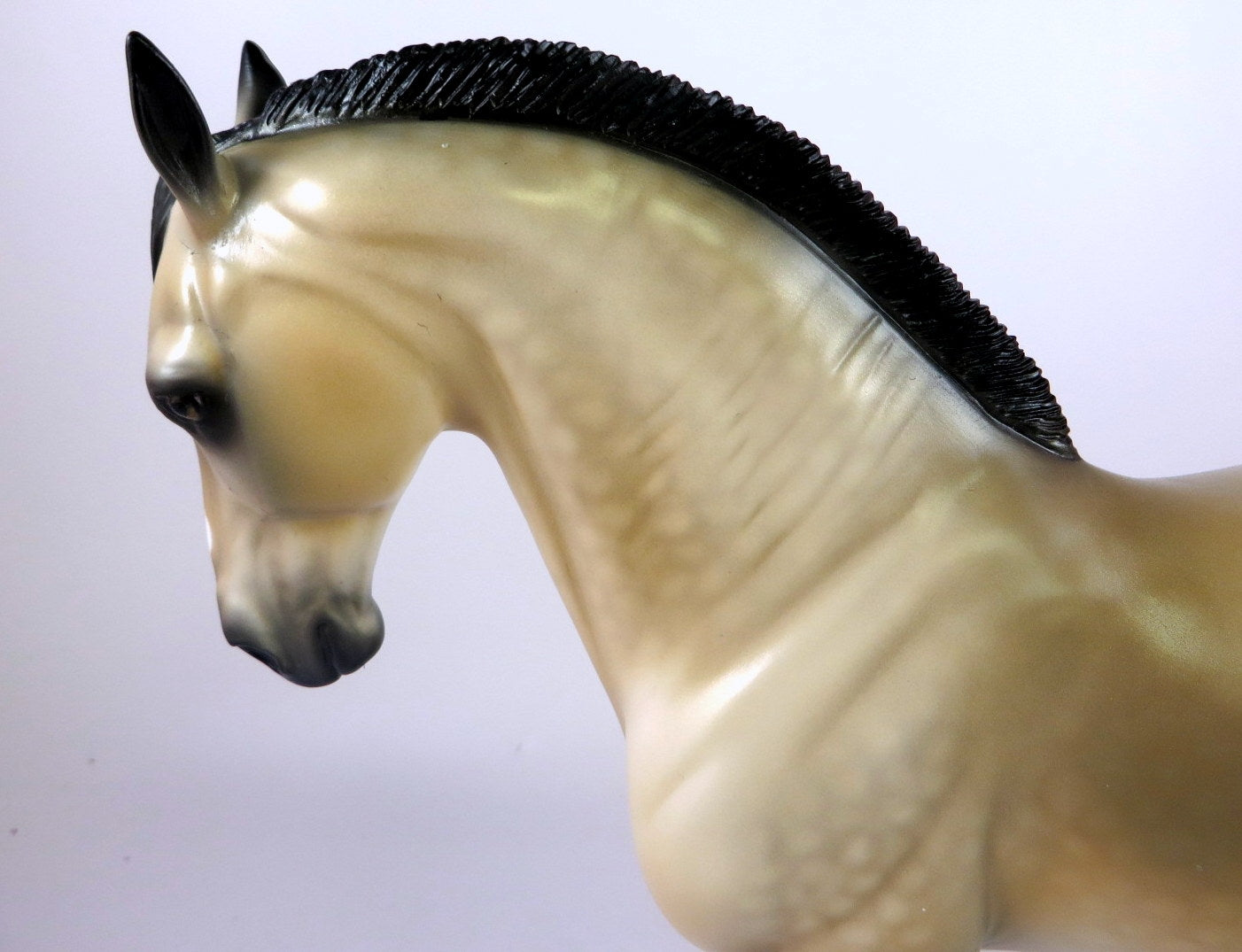 POGO -OOAK DAPPLE BUCKSKIN ANDALUSIAN MODEL HORSE BY AUDREY DIXON LHS 19