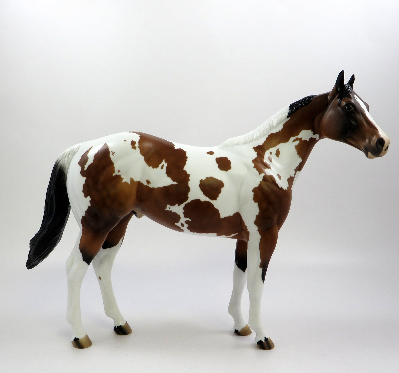 ROY-OOAK DAPPLE BAY OVERO ISH MODEL HORSE 5/23/19