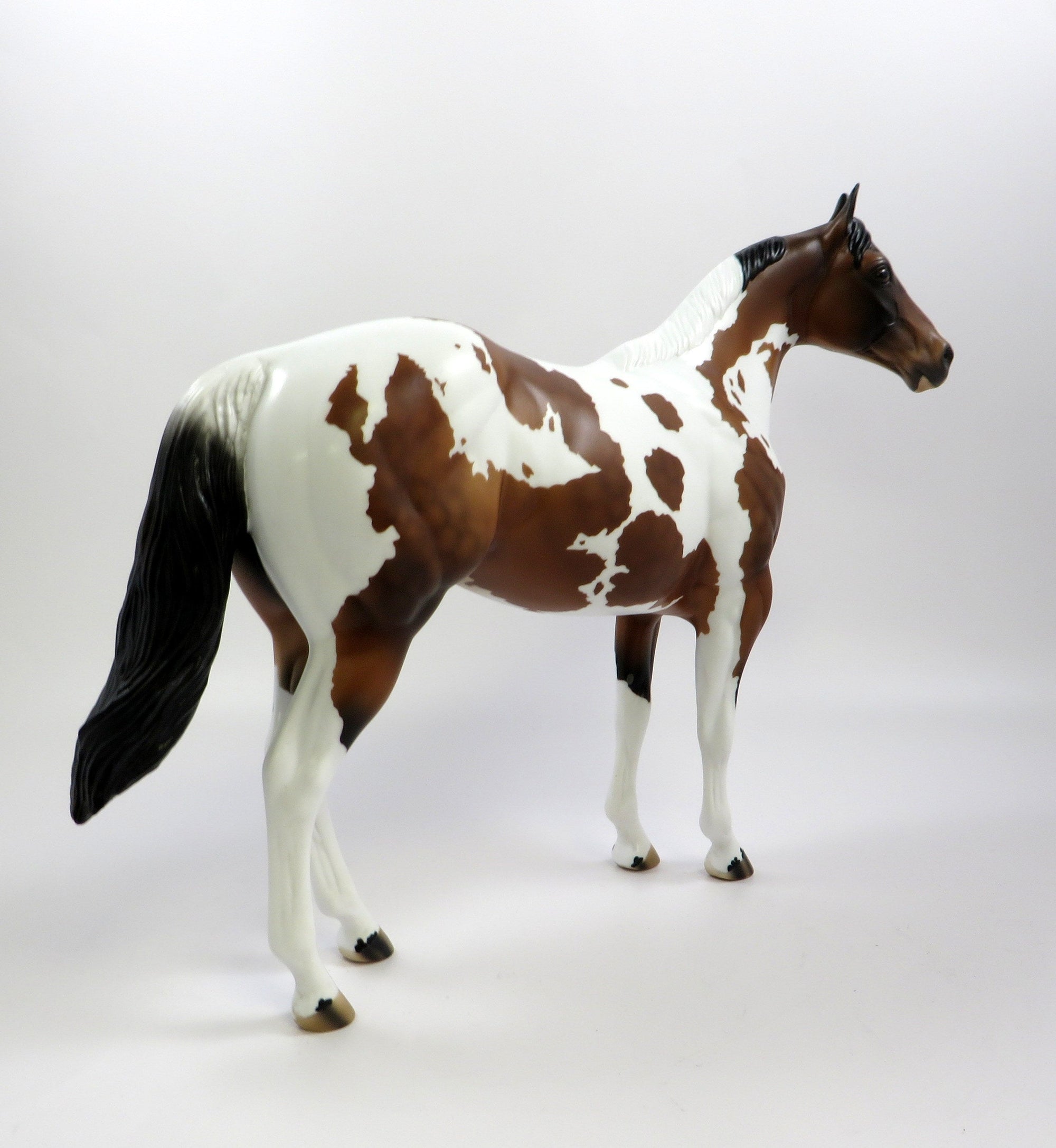ROY-OOAK DAPPLE BAY OVERO ISH MODEL HORSE 5/23/19
