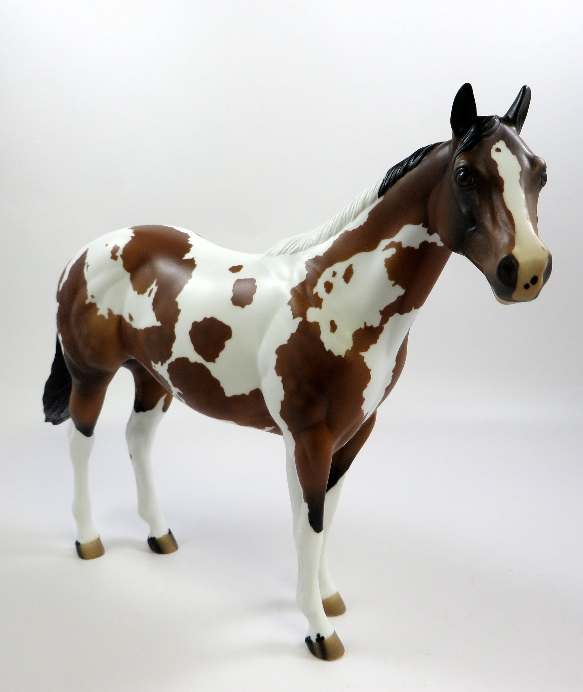 ROY-OOAK DAPPLE BAY OVERO ISH MODEL HORSE 5/23/19