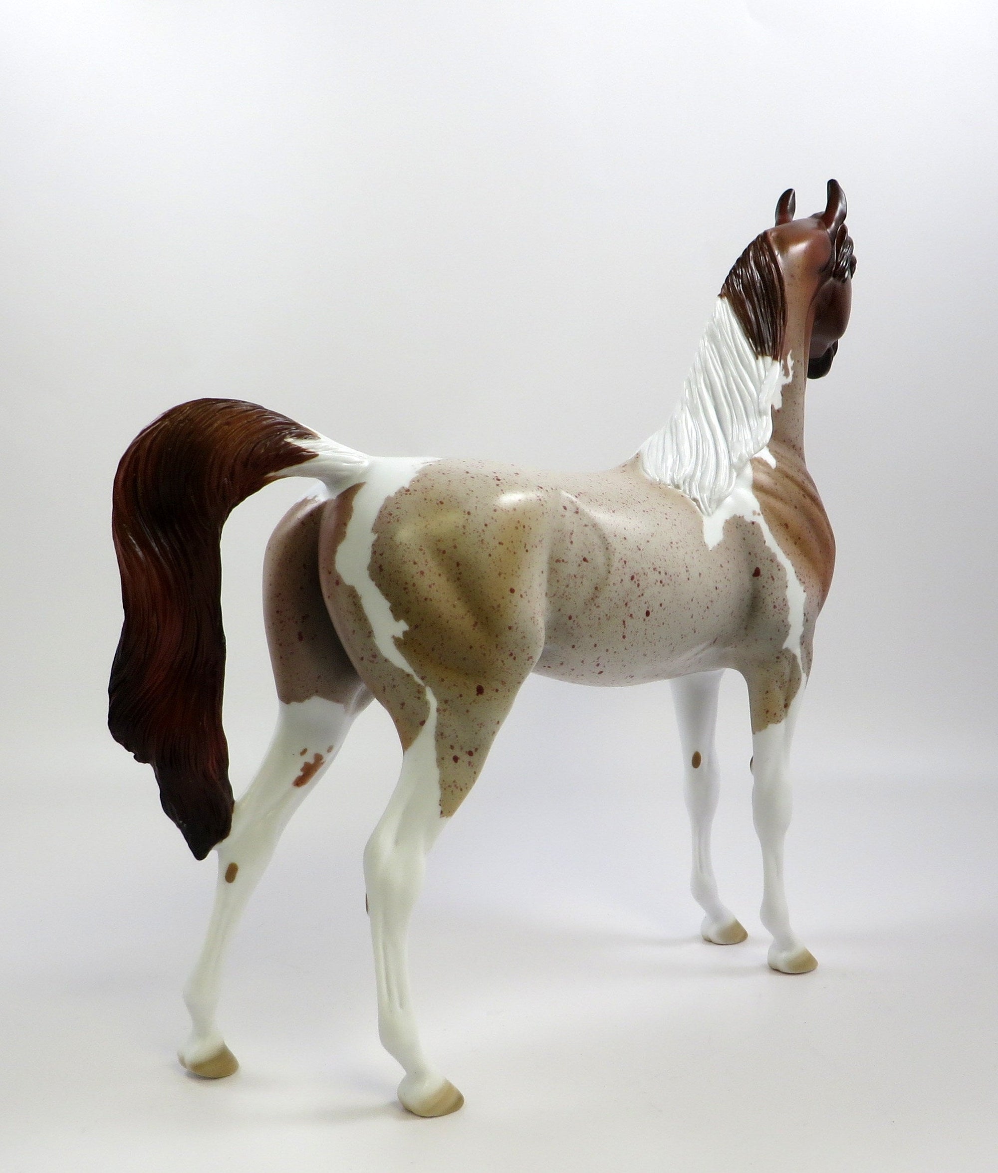 RED BARON-OOAK CHESTNUT PINTALOOSA ARABIAN BY AUDREY DIXON 5/23/19