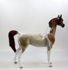 RED BARON-OOAK CHESTNUT PINTALOOSA ARABIAN BY AUDREY DIXON 5/23/19