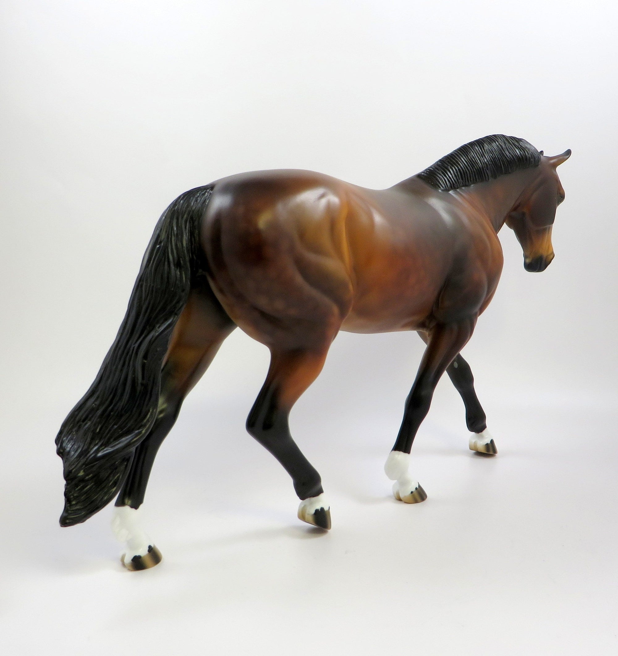 JERSEY SHORE-OOAK DAPPLE BAY IRISH DRAFT BY AUDREY DIXON 5/23/19