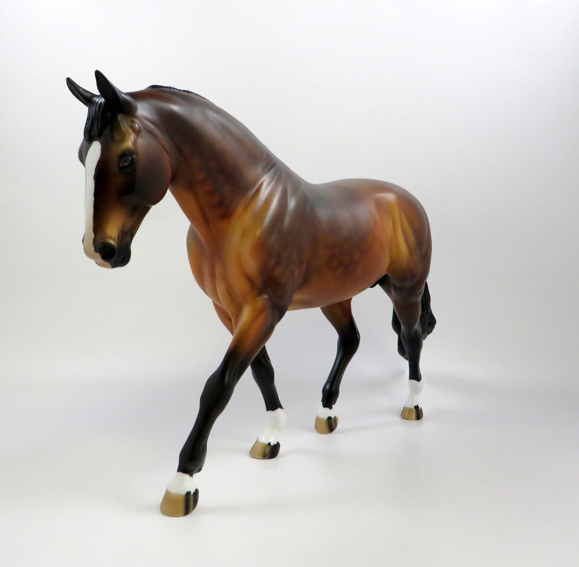 JERSEY SHORE-OOAK DAPPLE BAY IRISH DRAFT BY AUDREY DIXON 5/23/19